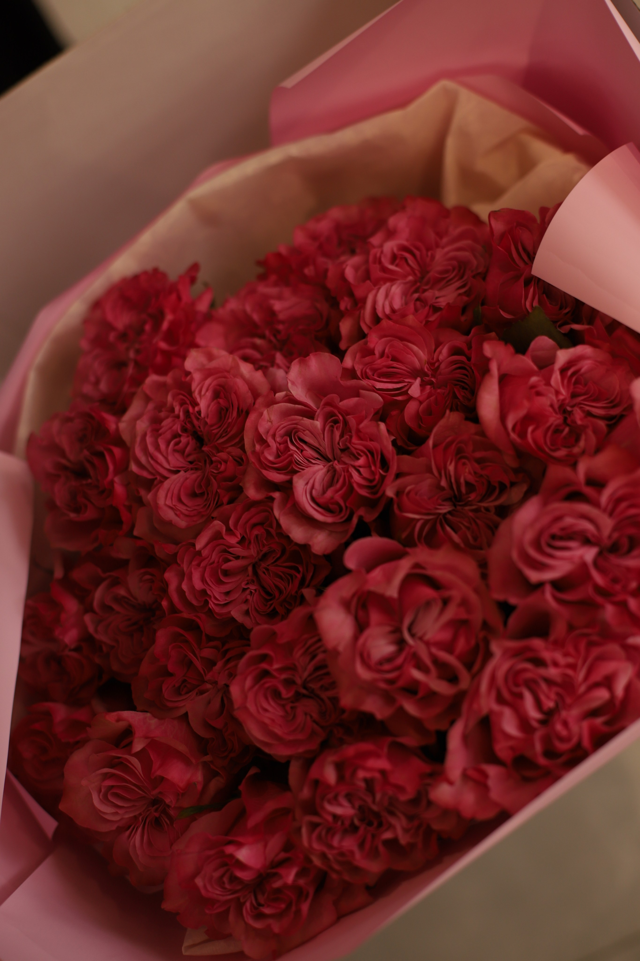 Seduction godeess. VALERIIA VIUNOVA individual shooting\love story\event\brand