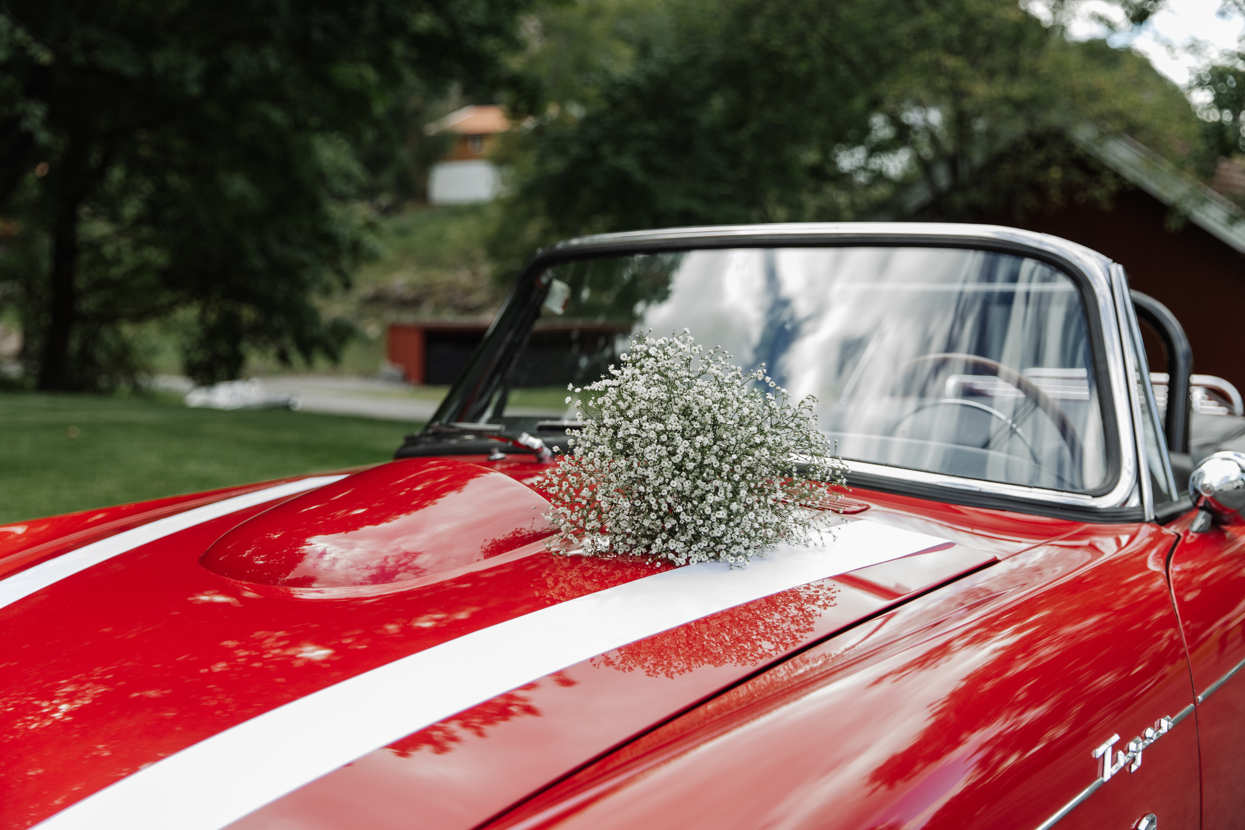 Livets viktigste øyeblikk: Bryllupsfotografi i Oslo. Bryllupsfotograf i hele Norge