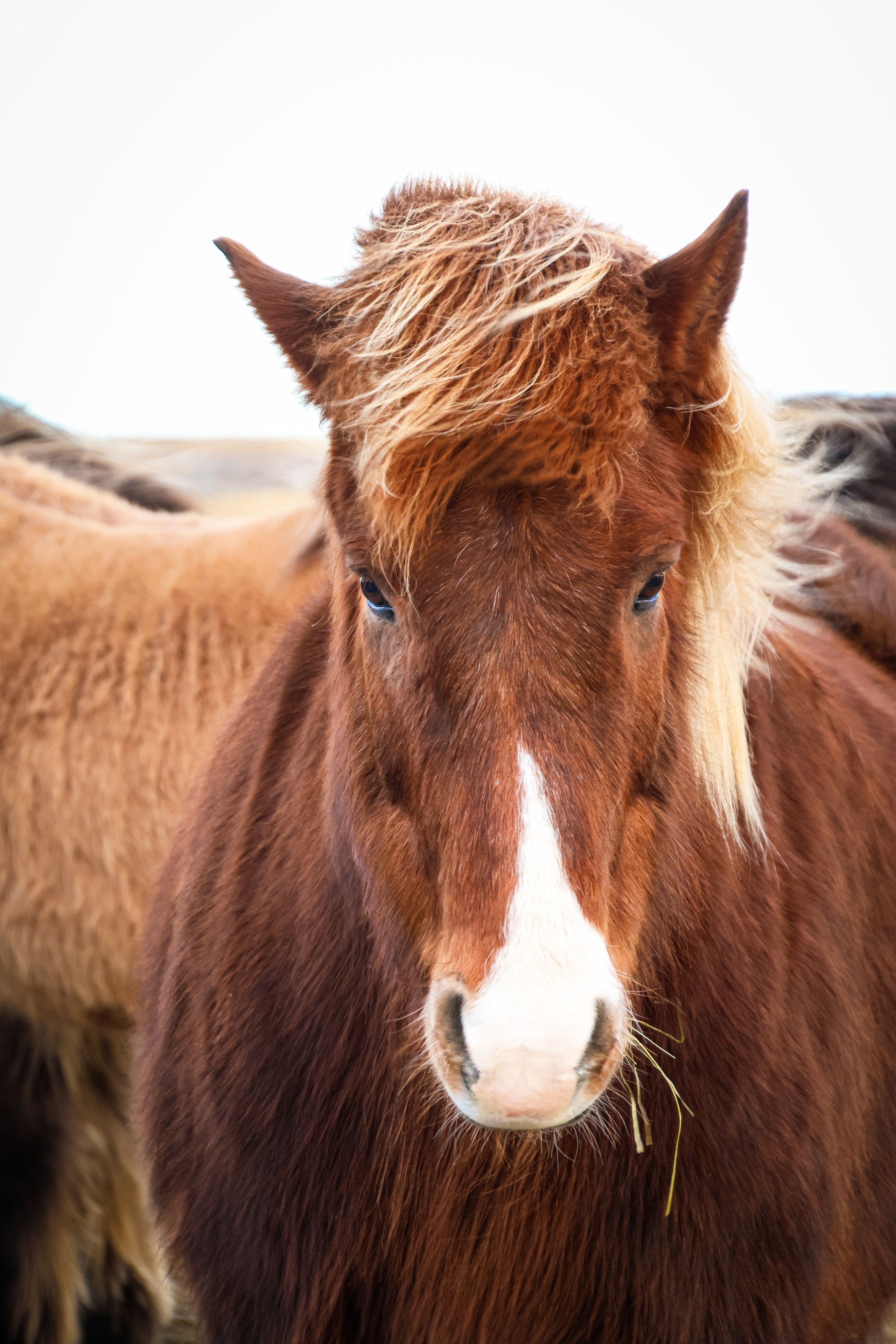 Iceland 2025. Marina, Fotograf aus Nürnberg