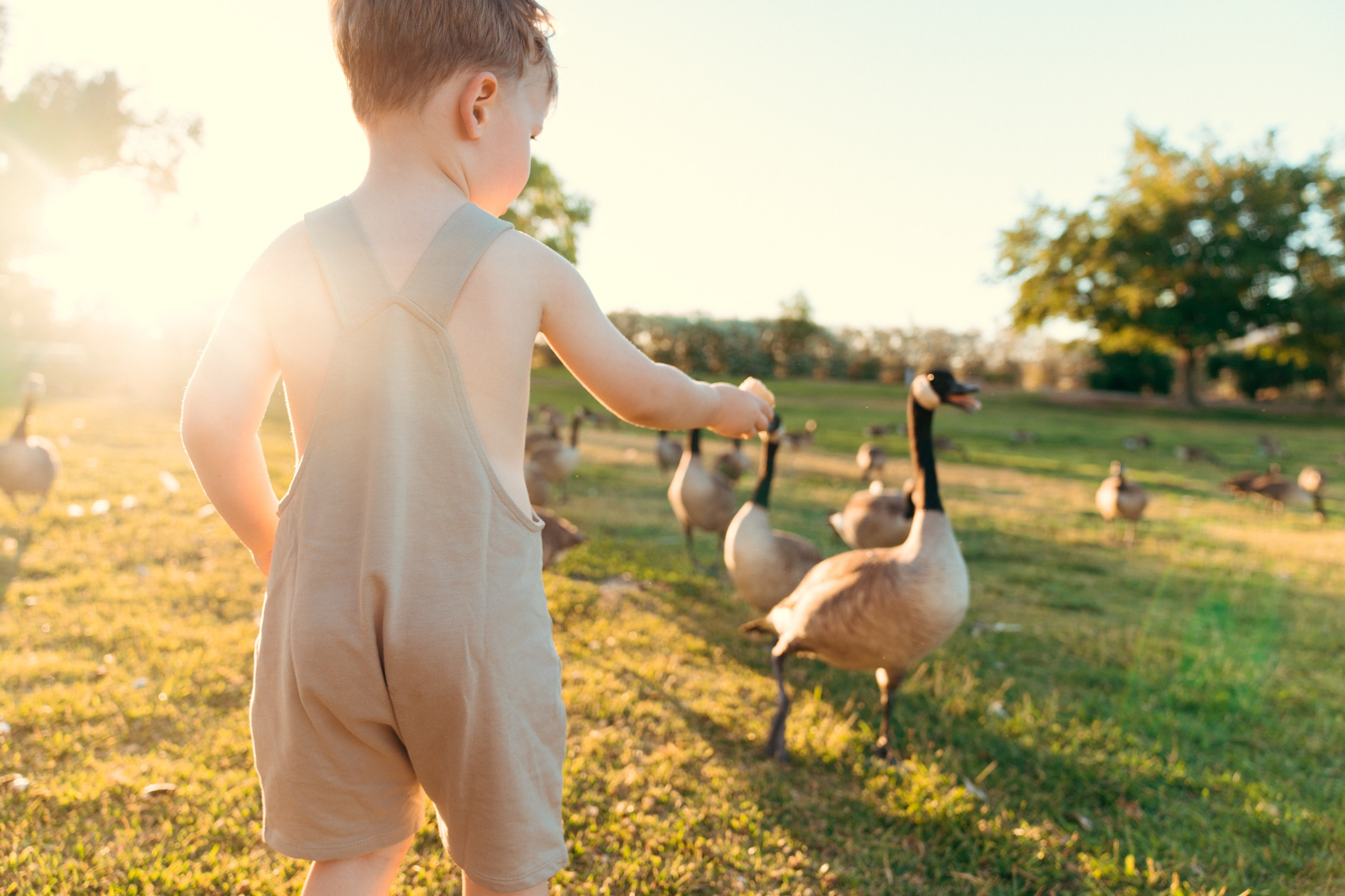 Yulya, Robert&Gordey. Wedding & elopement photographer Viktoriya Kravtsov. Las Vegas