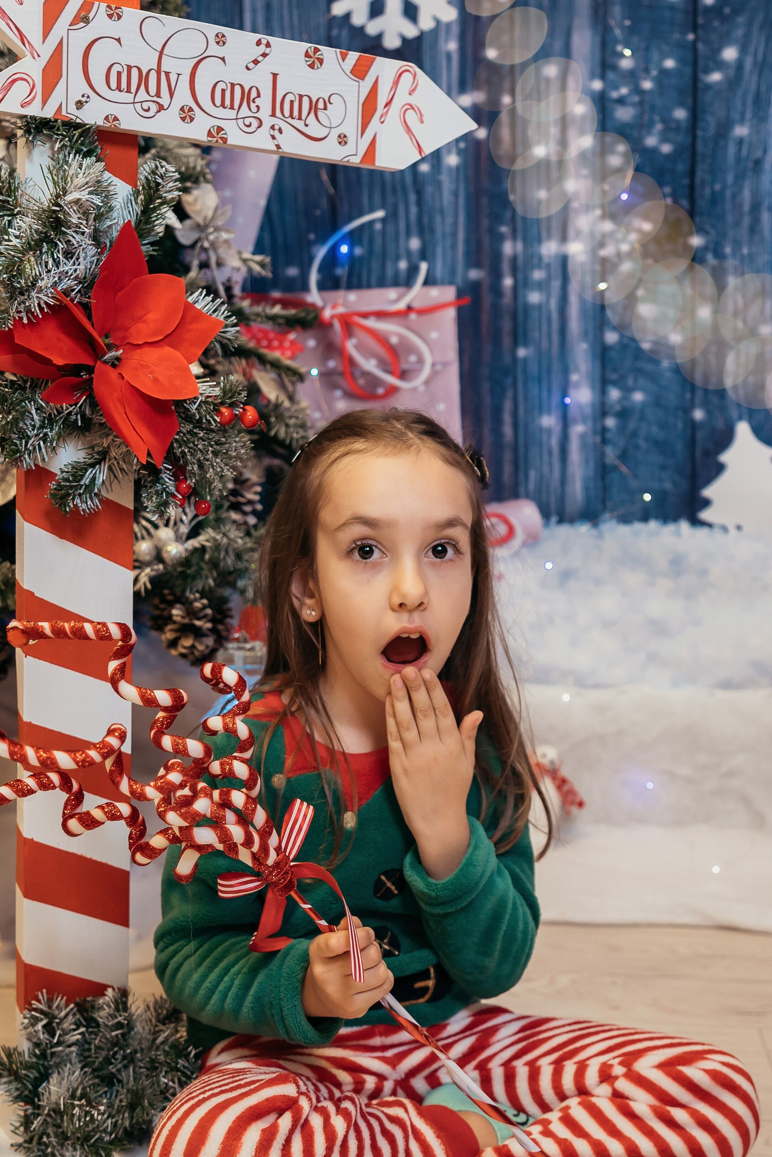 Sedinta Craciun Sofia