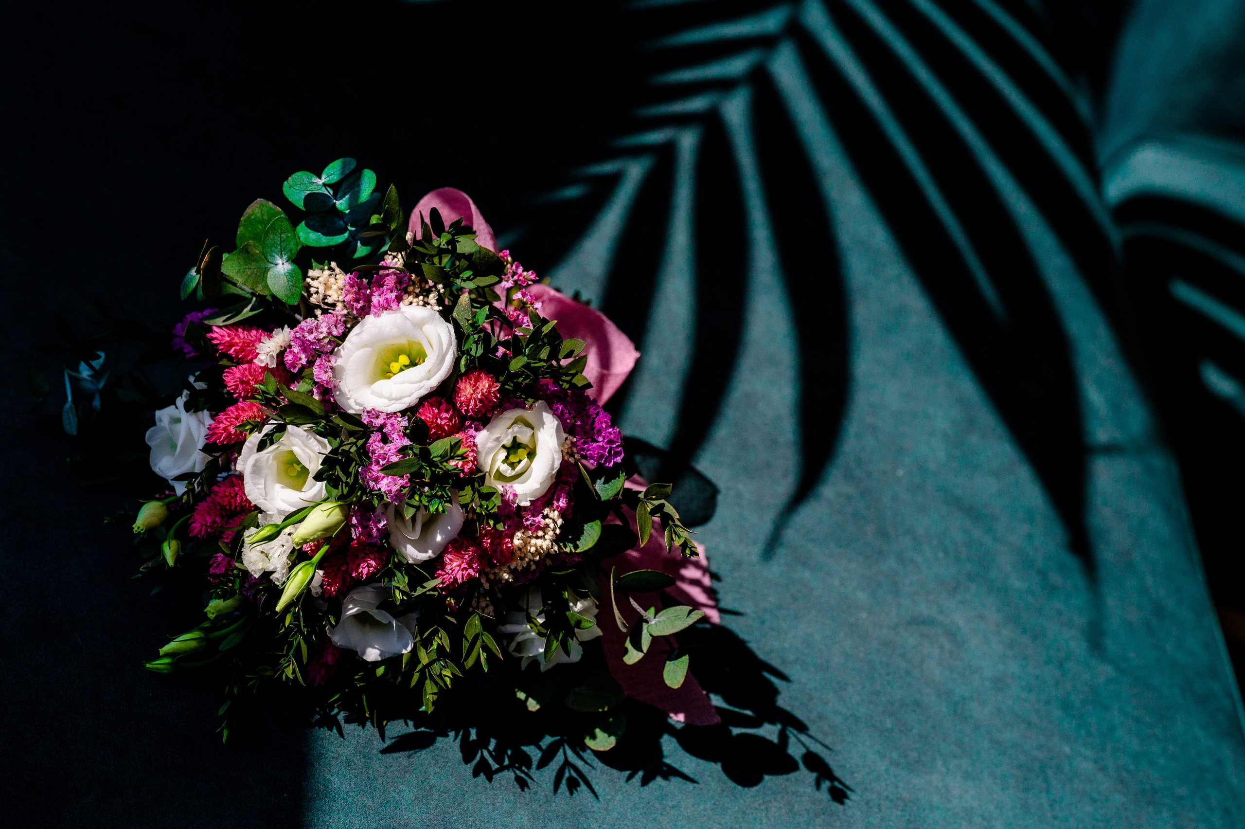 BYZO MEDIA. PETRU BYZO - family and children photographer in ROMANIA