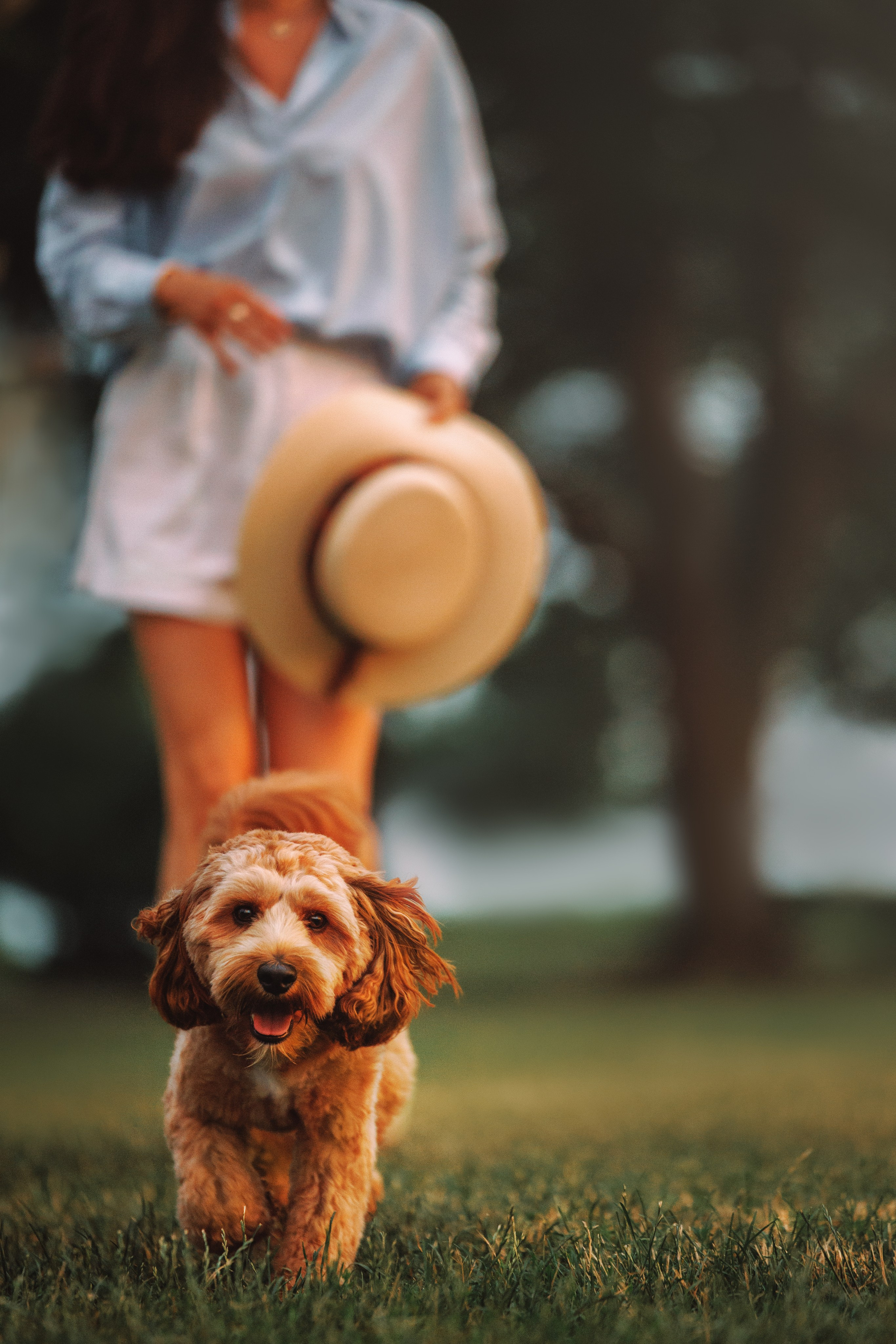 Howie & Callie. Pet Photographer Viktoriya Aleshenko