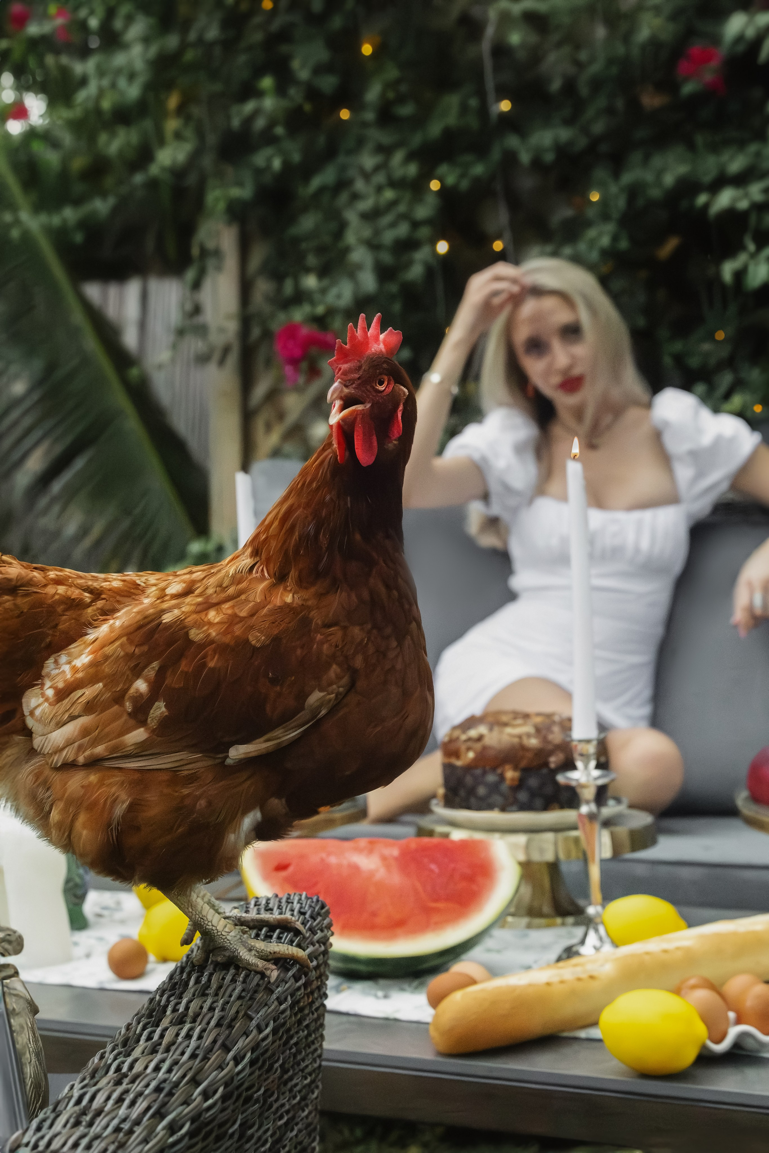 Coco & Chanel. Pet Photographer Viktoriya Aleshenko