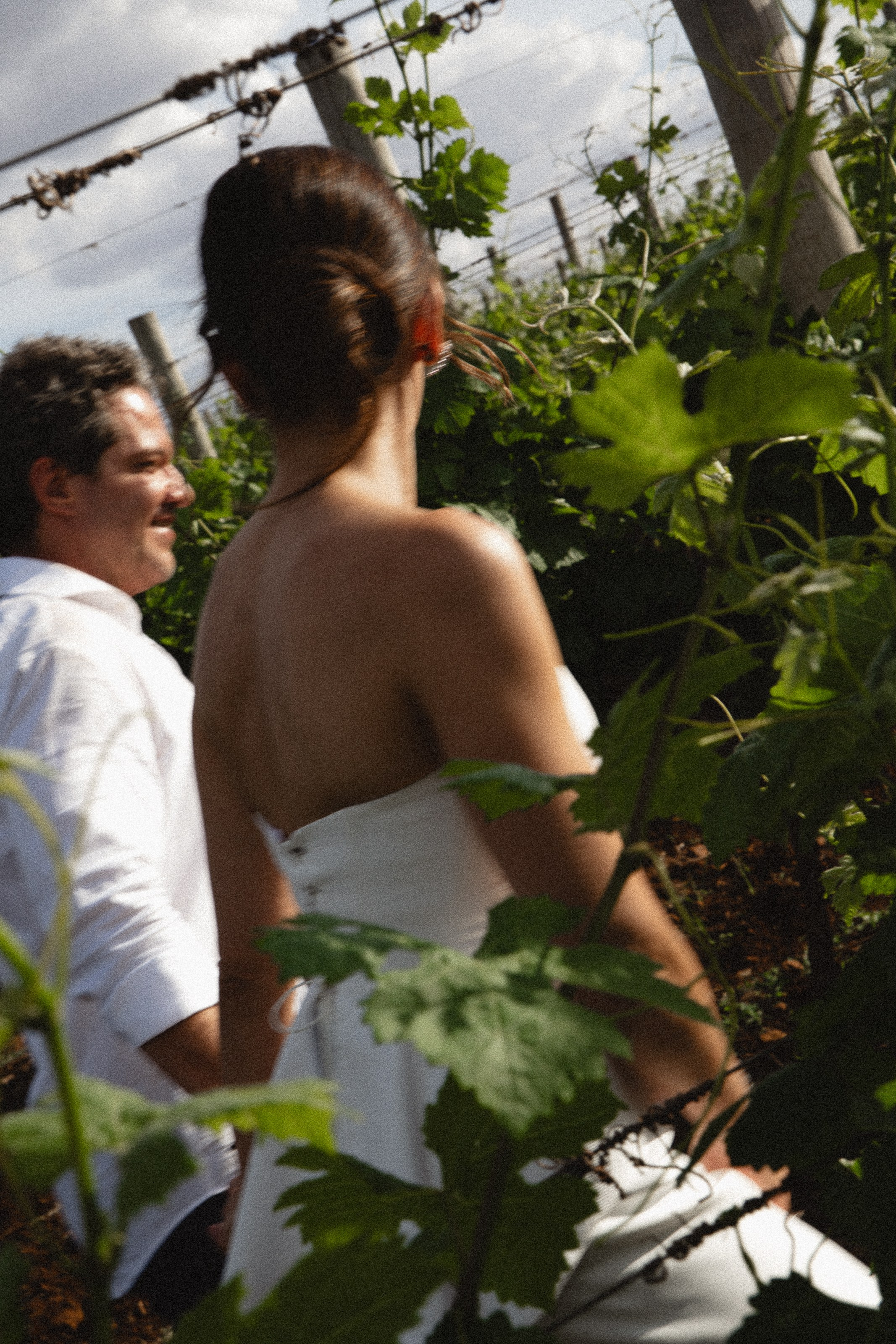 Casamento Marceli e Diego — Vinícola Terras Altas. Fotógrafo de casamento e Filmmaker de casamento