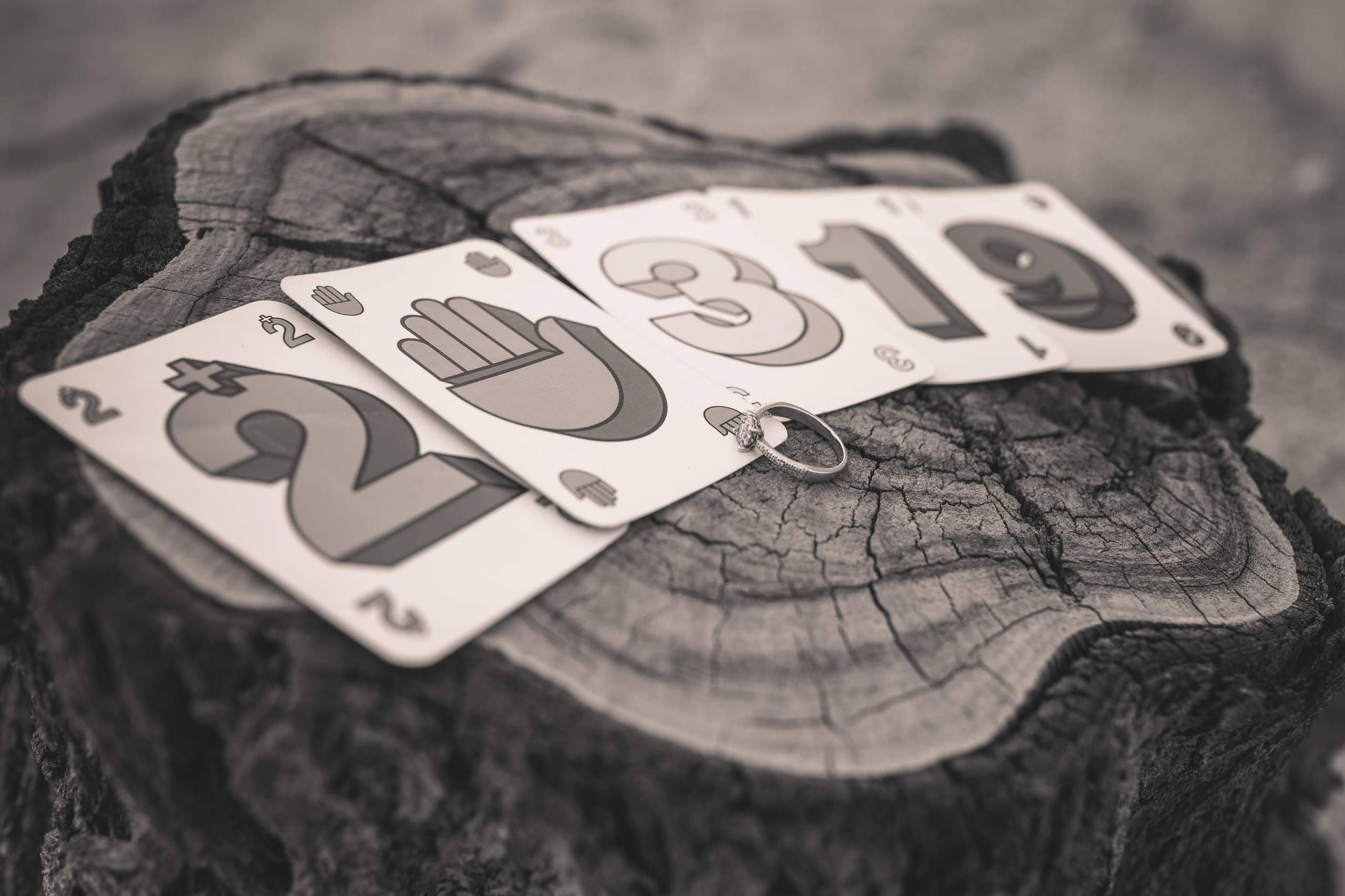 SHAKED & JOSH. AMIR BUCHNIK PHOTOGRAPHER