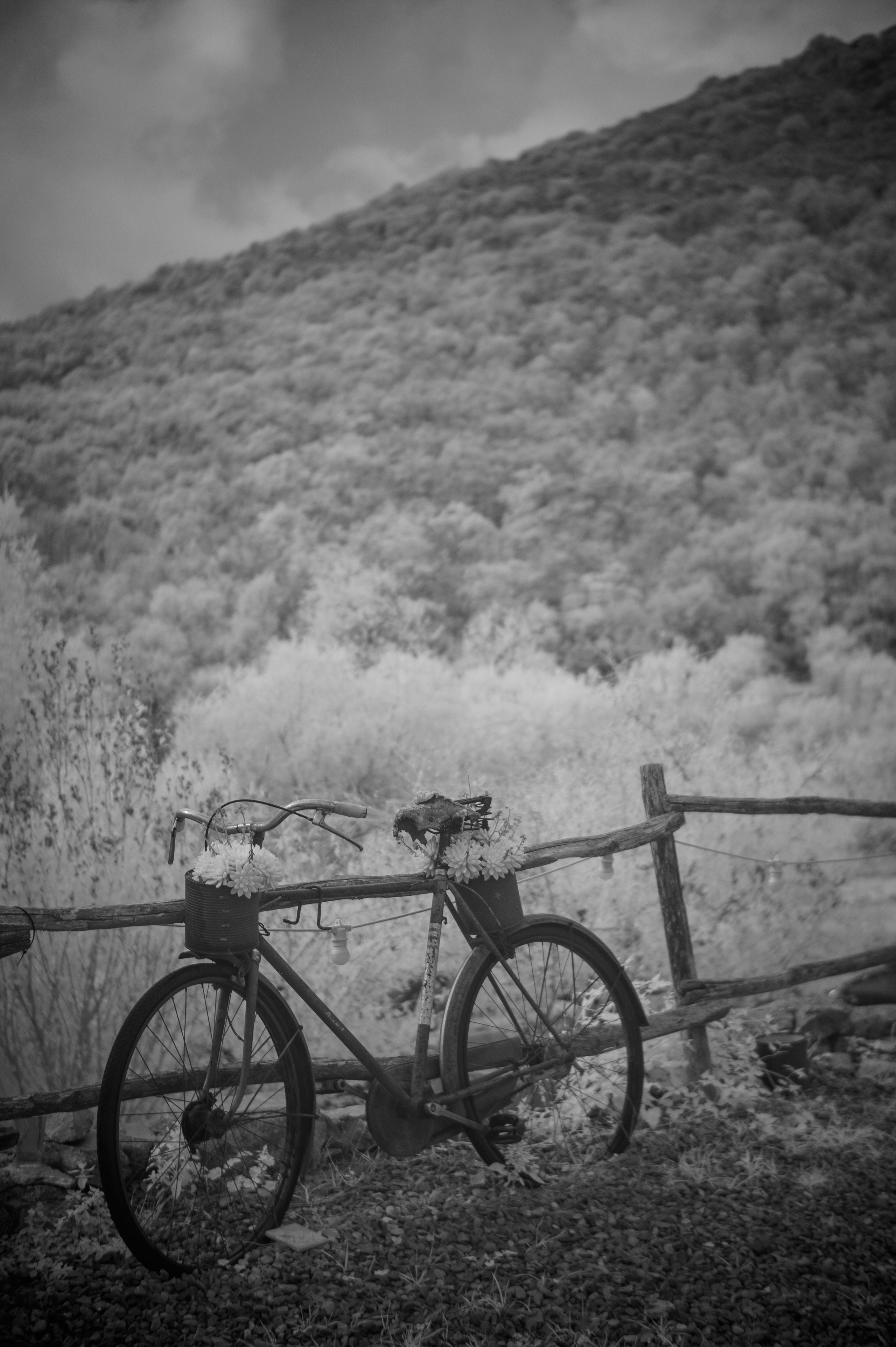 Fotografia a infrarosso