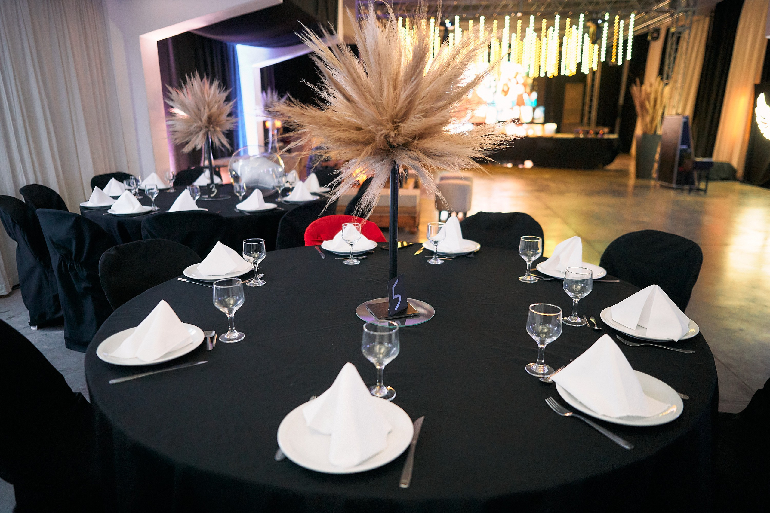 NARCISA. Marcos Ferrari Fotógrafo