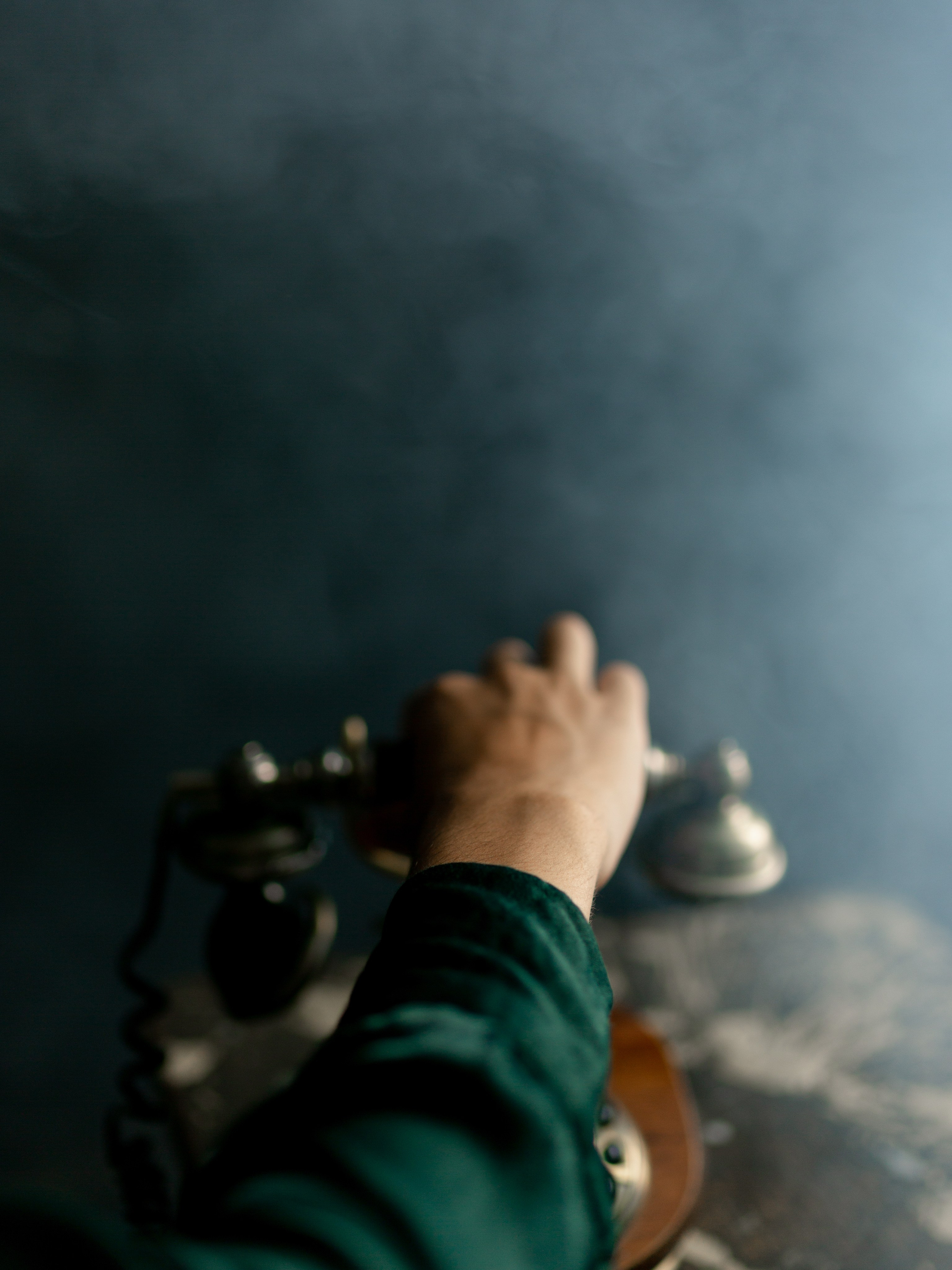 Lev. Photographer Vladmir Gladkov