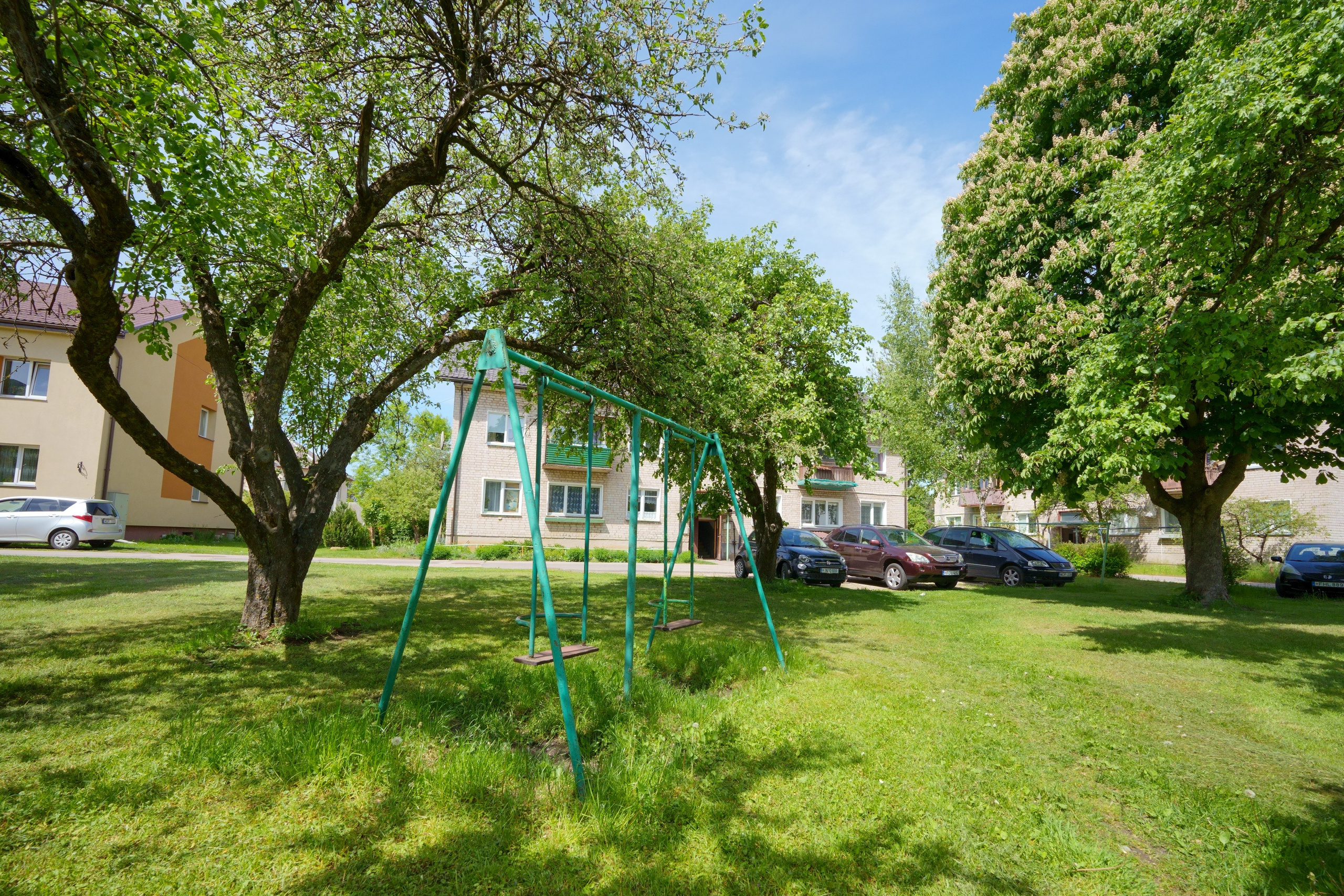 Grigiškės. Elina Sapiega fotografė Vilniuje