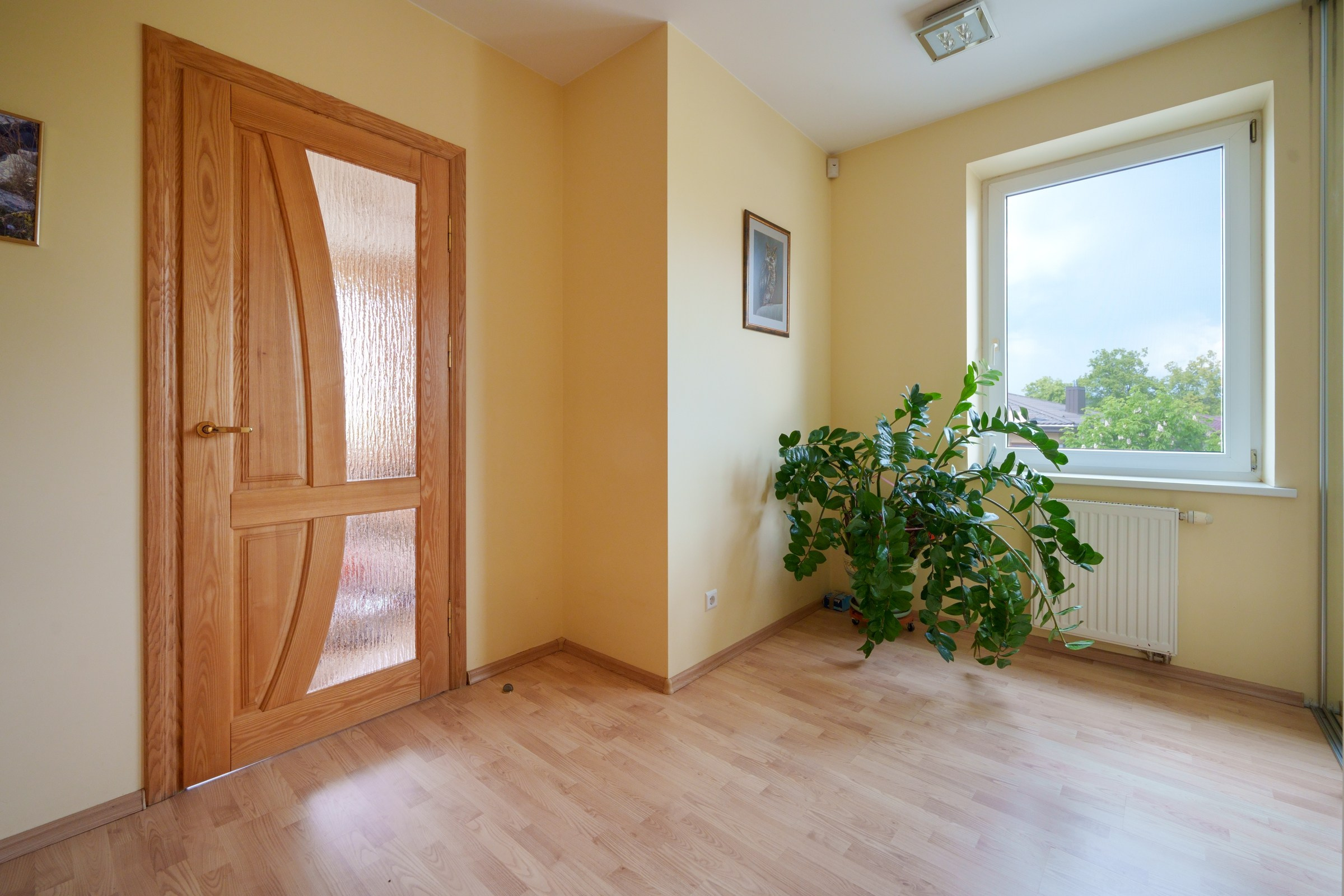 Viršupio sodų 1-oji. Elina Sapiega fotografė Vilniuje