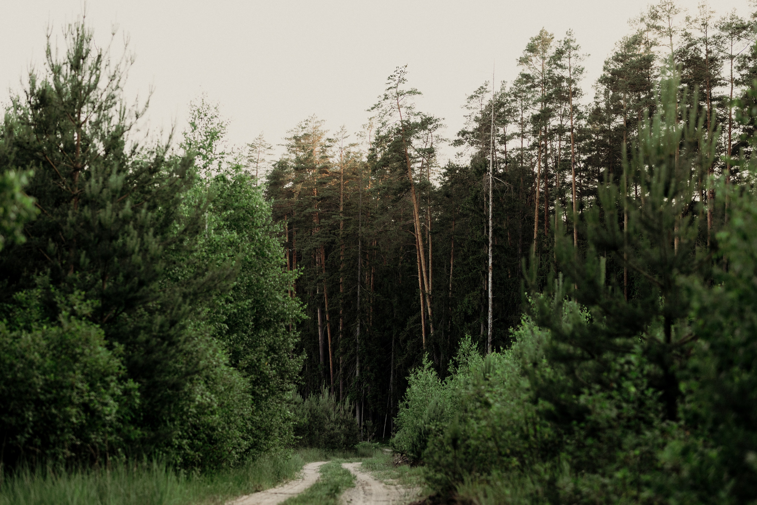 Asmeninė fotosesija Marijampolėje