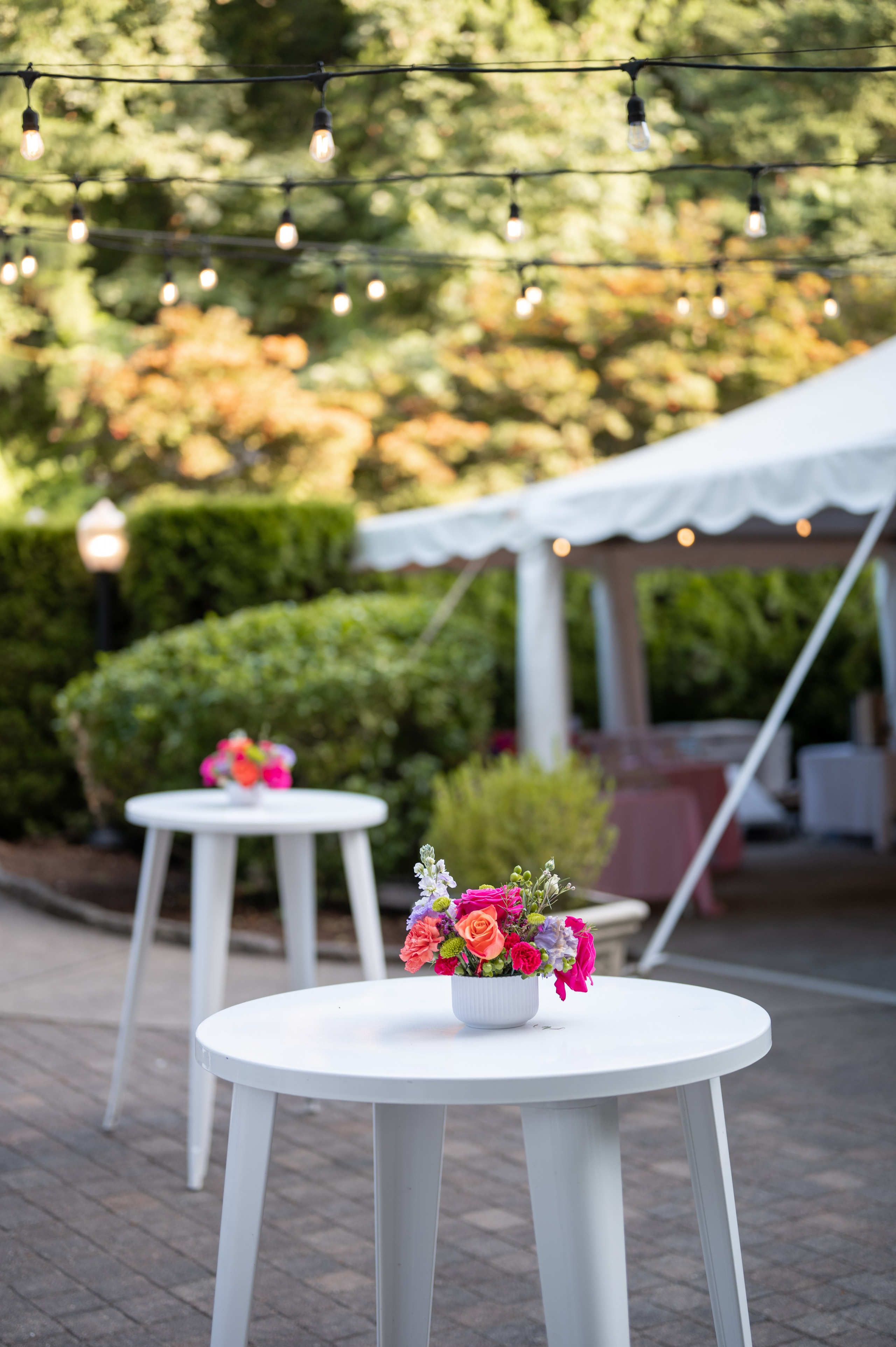 Wedding David & Nadine. Portrait photographer in Charlotte, North Carolina