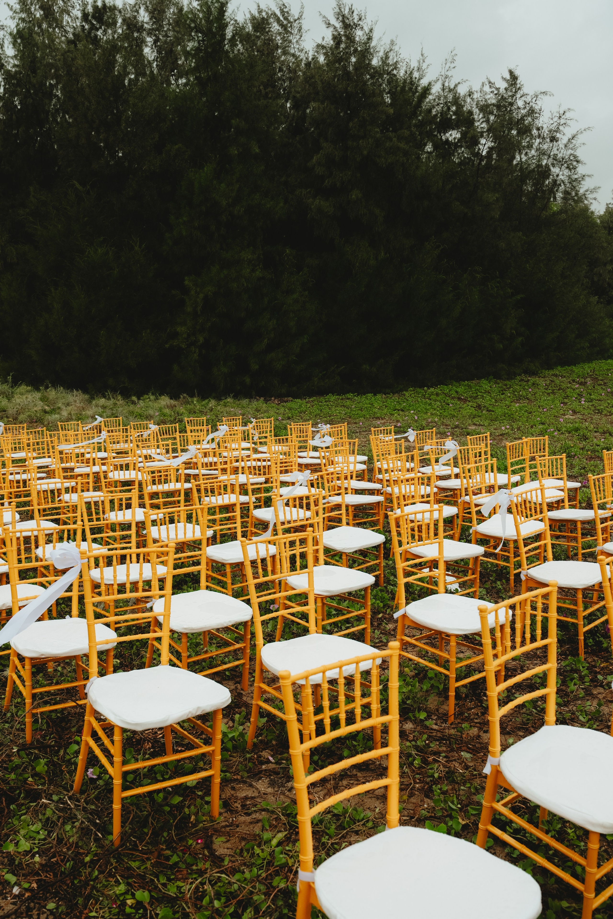 Not a Usual English Wedding!. Fine art Wedding Photographers in India & Canada