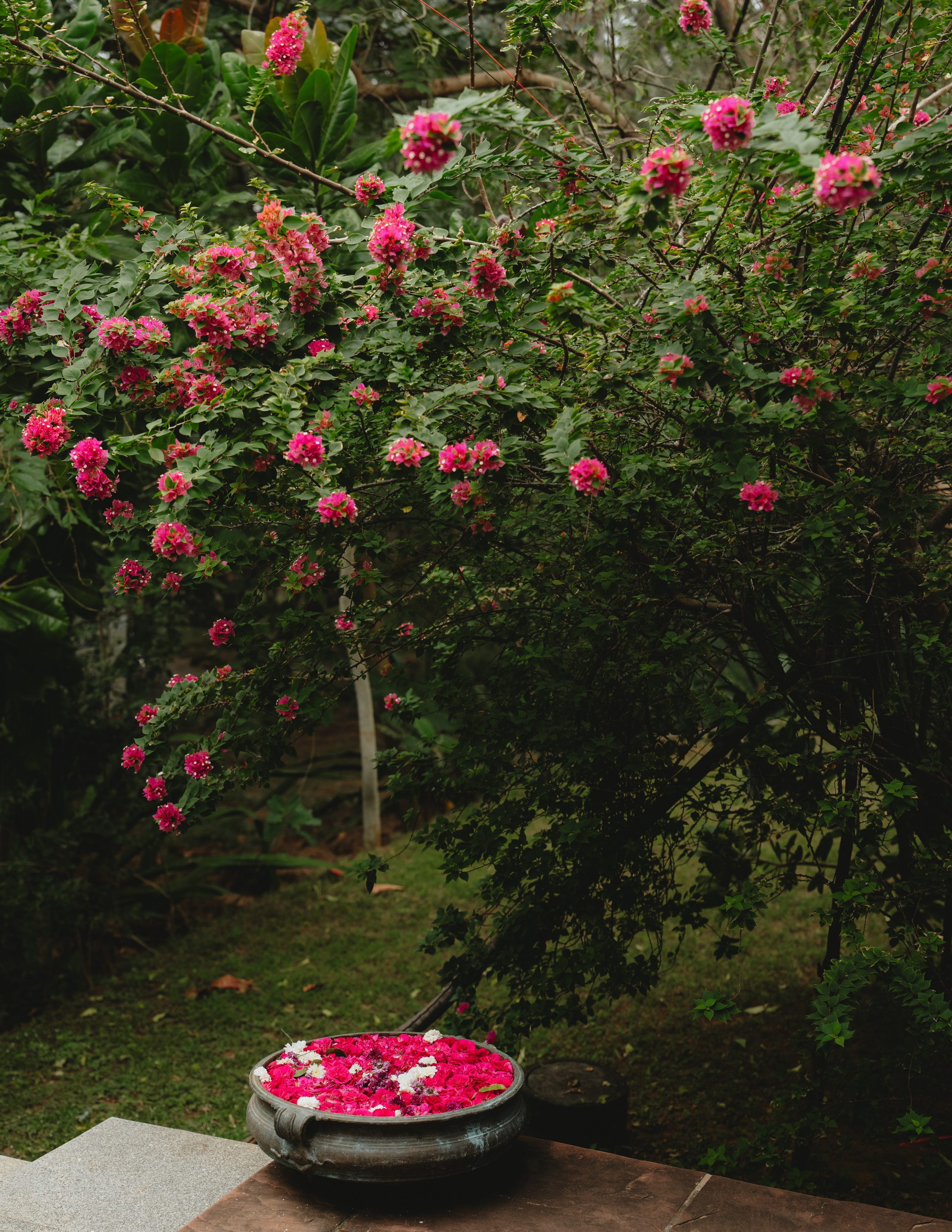 Not a Usual English Wedding!. Fine art Wedding Photographers in India & Canada