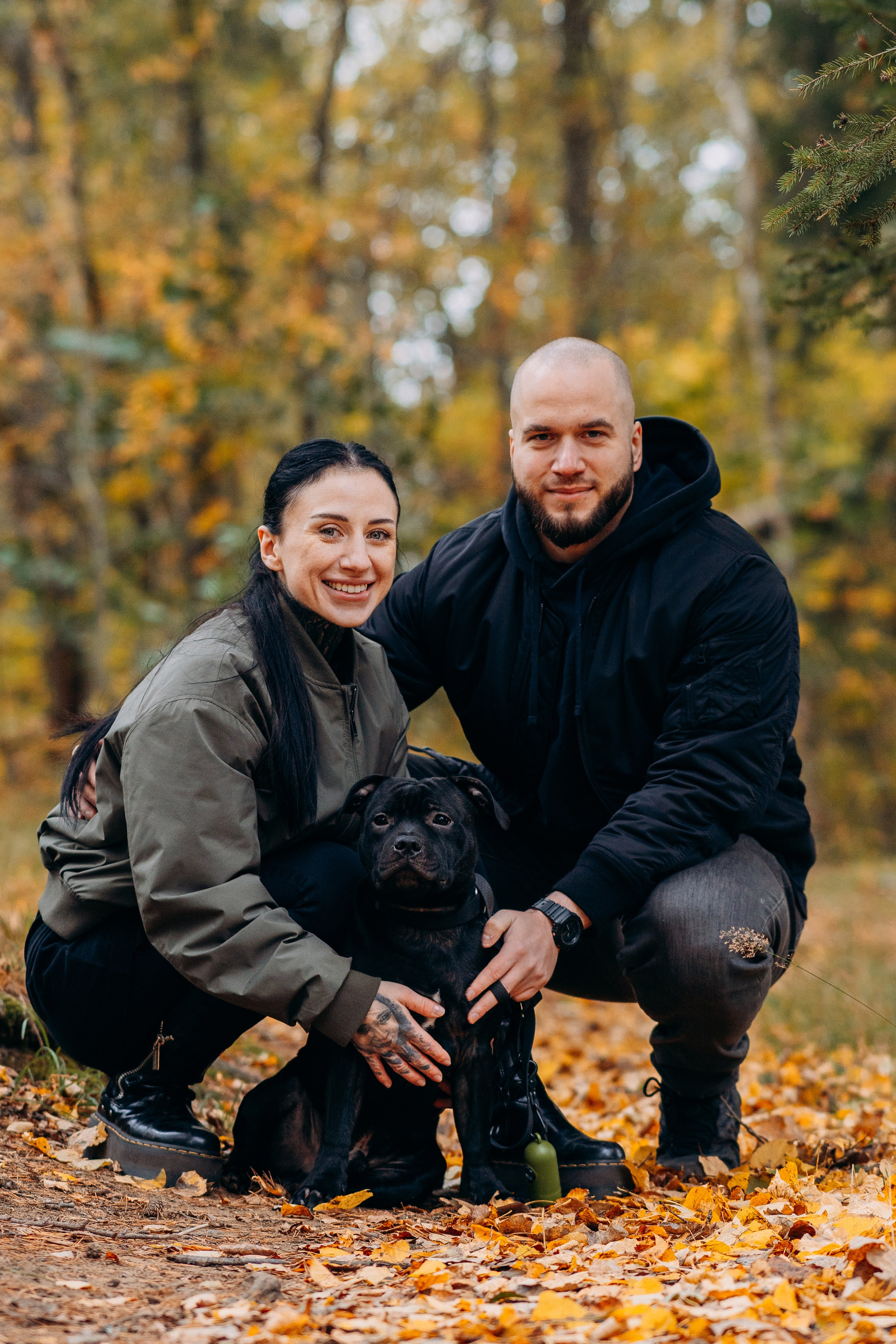Staffordshire Bull Terriers Meetup. Kat Laisaar — Pet photographer in Tallinn