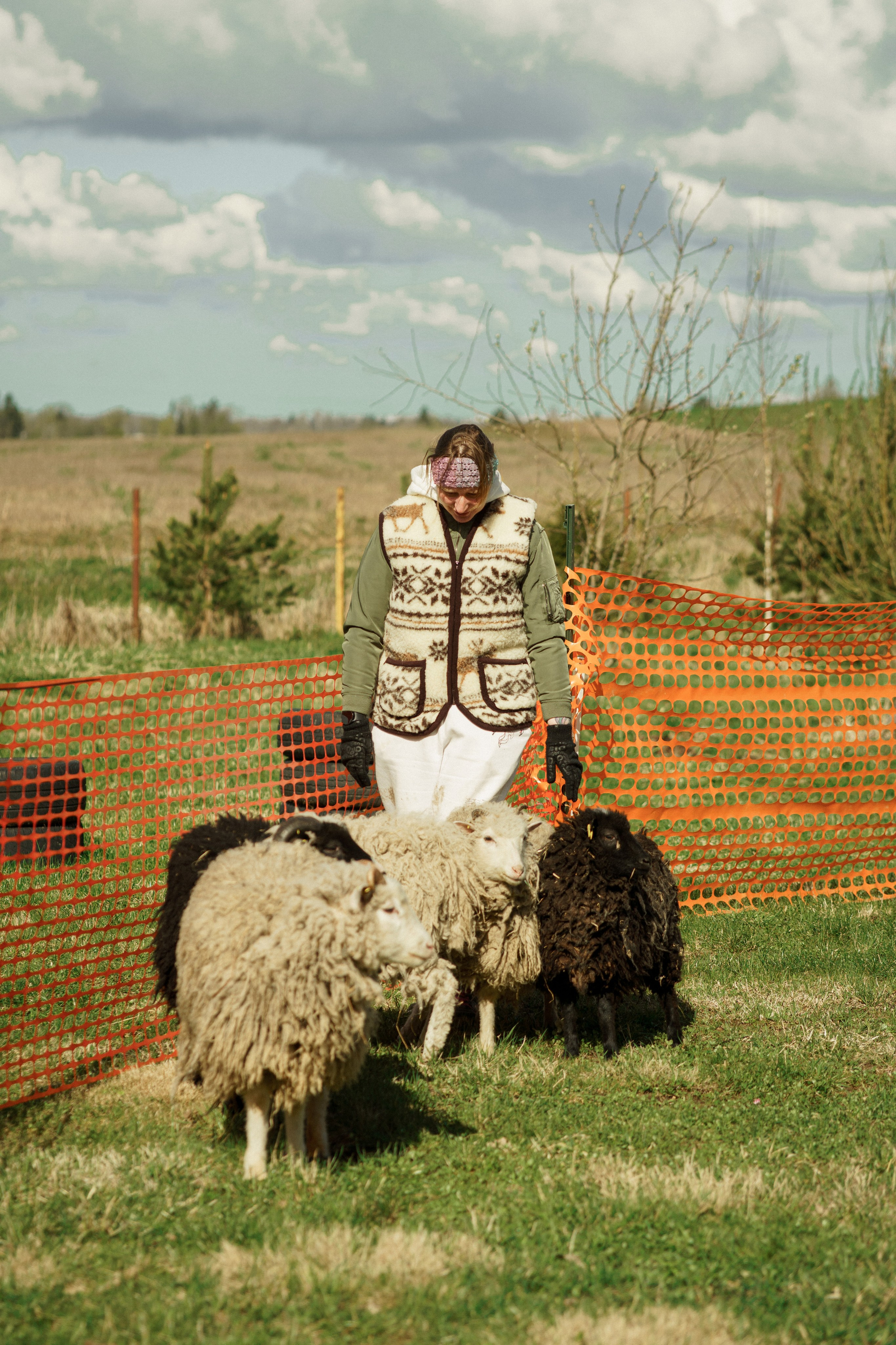 Herding Days, 26 apr. 2025. Kat Laisaar — Pet photographer in Tallinn