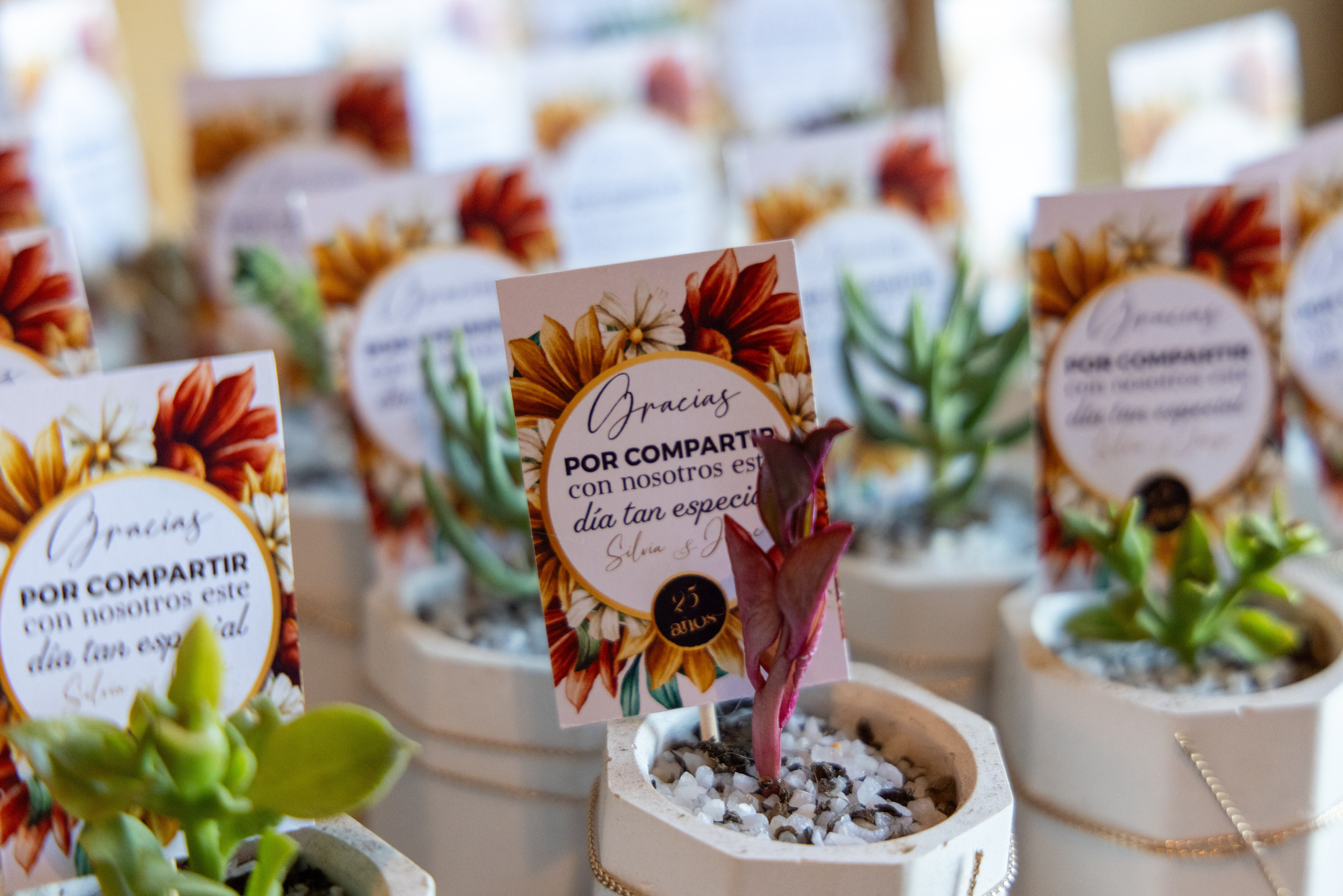 Silvia y Jorge. Dinka & Emilio - El arte de preservar lo que no se repite