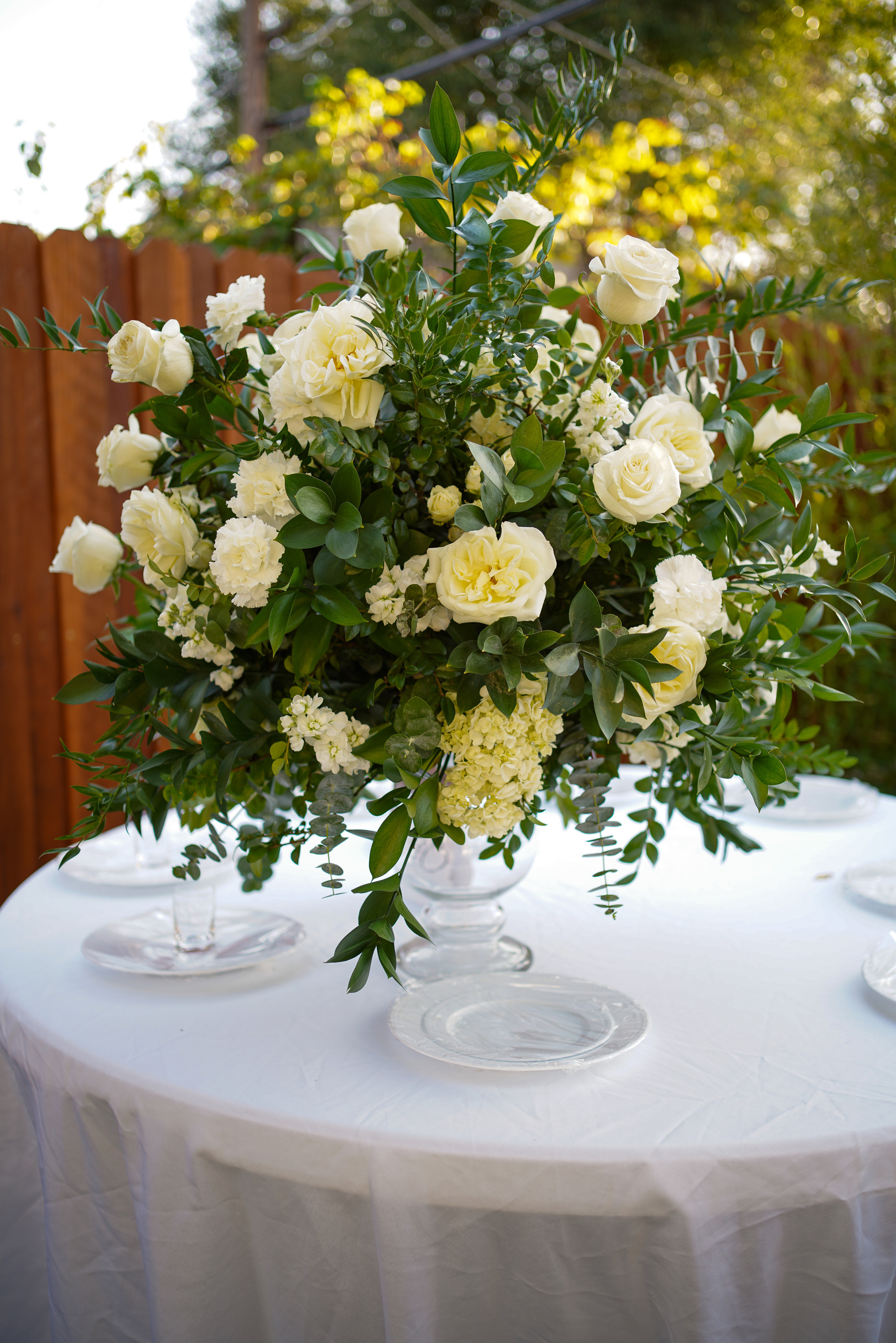 Ivan and Anasstasiya. Sacramento Photographer — Olga Maltseva based in California