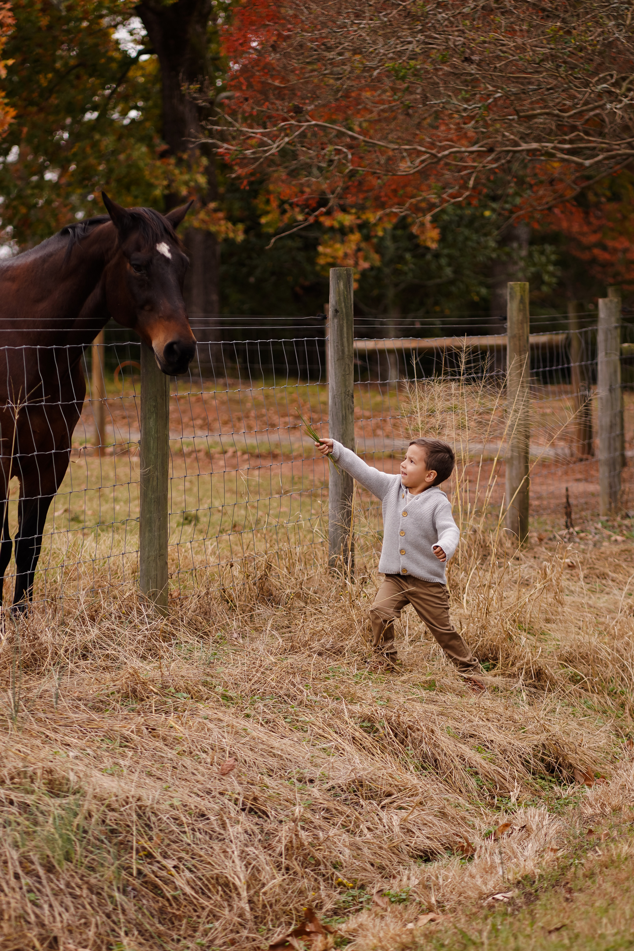 Chilhood. Sacramento Photographer — Olga Maltseva based in California