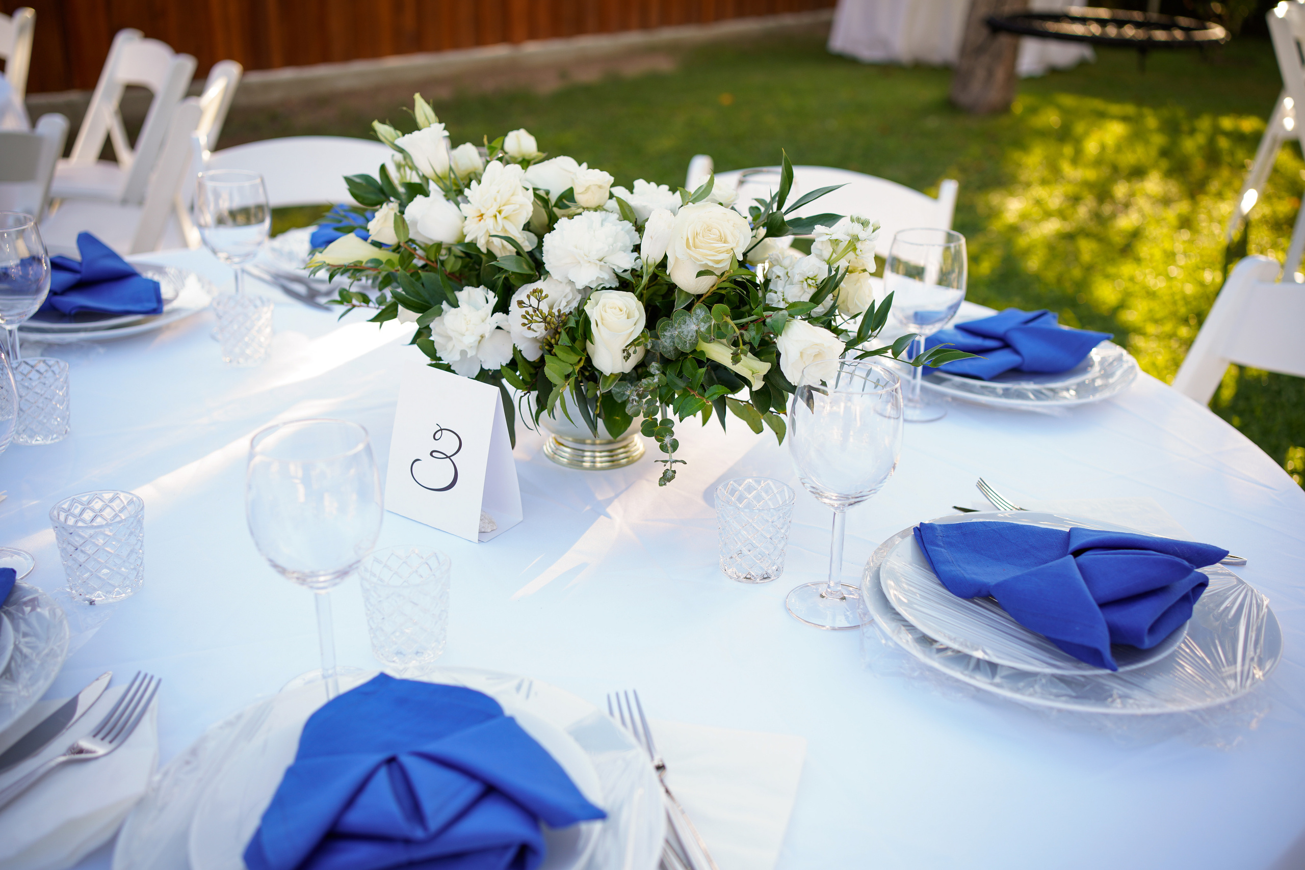 Ivan and Anasstasiya. Sacramento Photographer — Olga Maltseva based in California