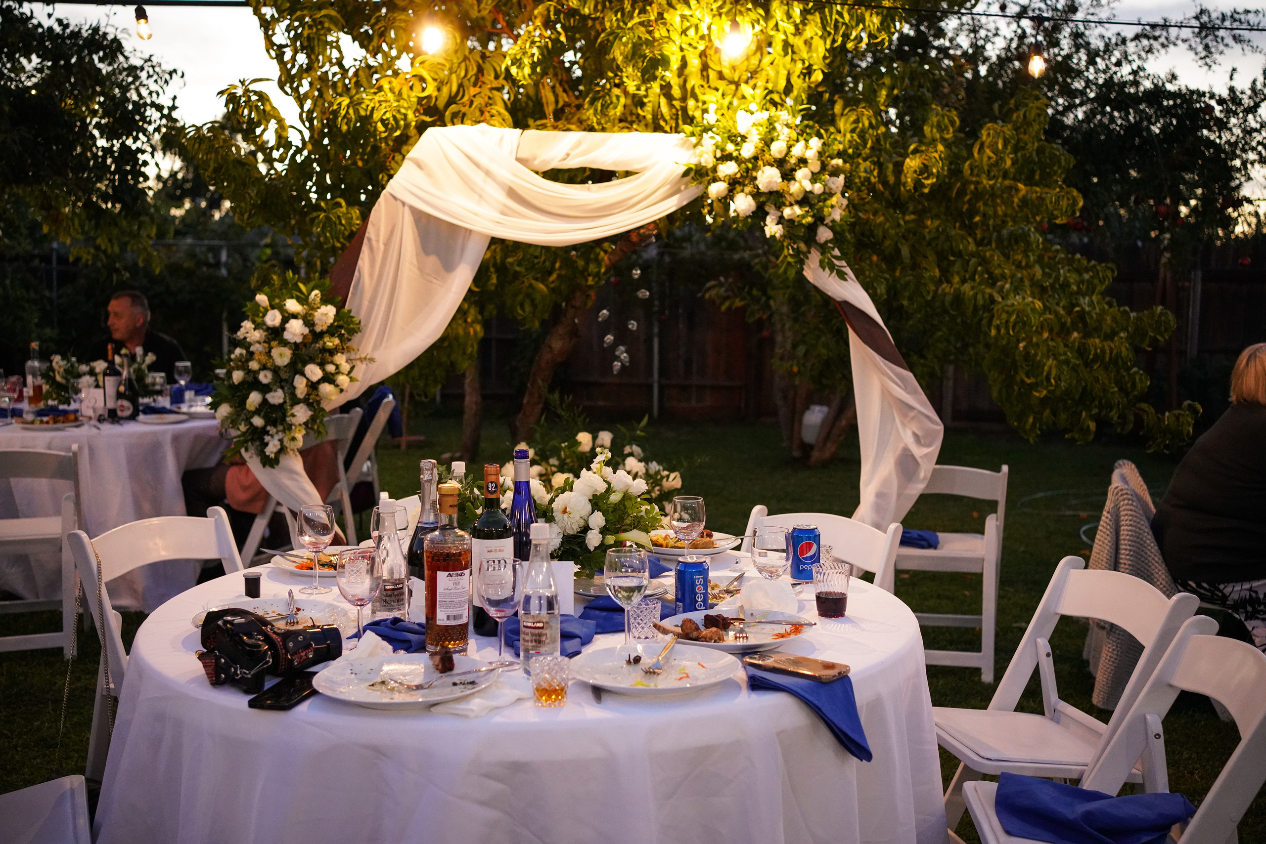 Ivan and Anasstasiya. Sacramento Photographer — Olga Maltseva based in California