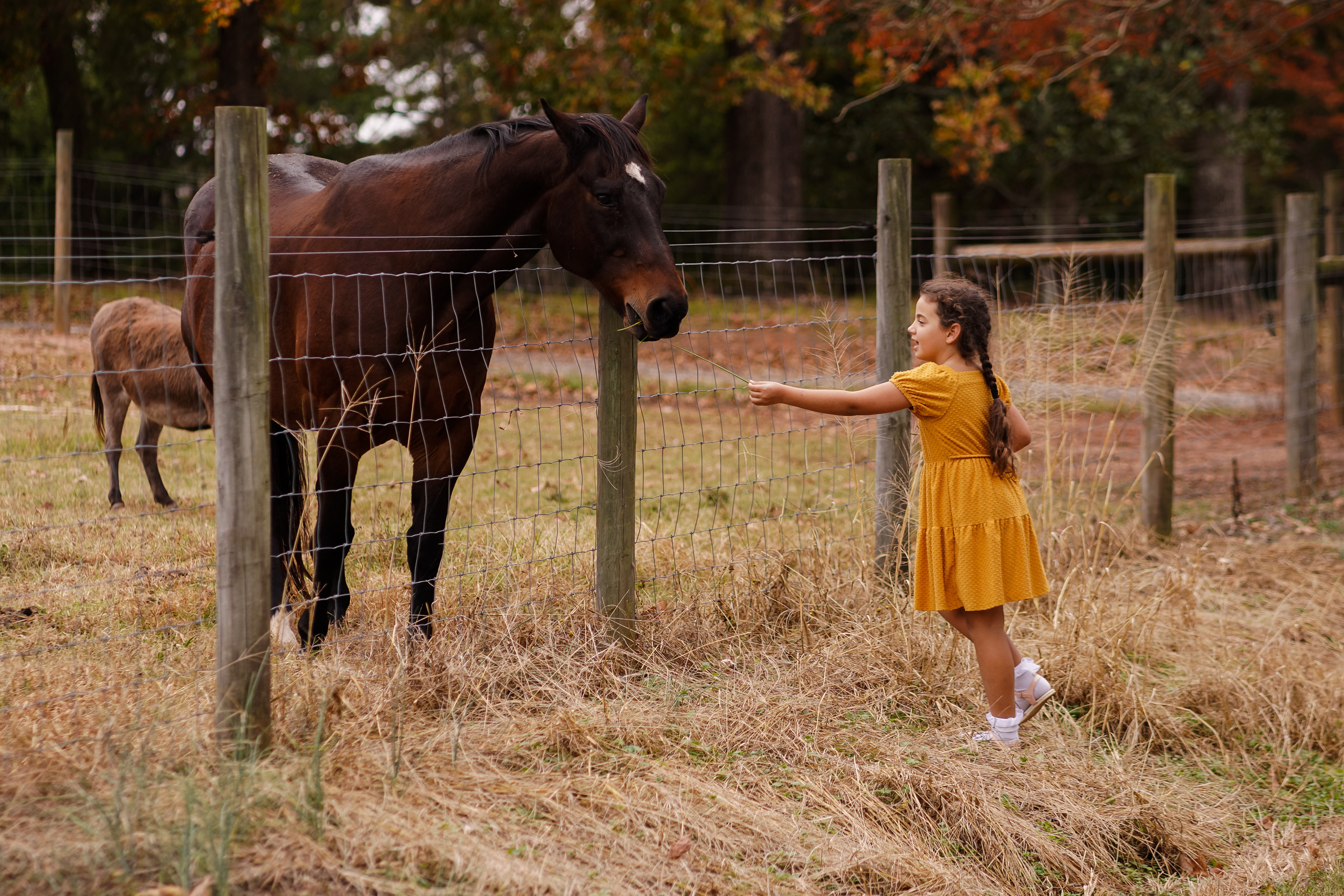 Chilhood. Sacramento Photographer — Olga Maltseva based in California