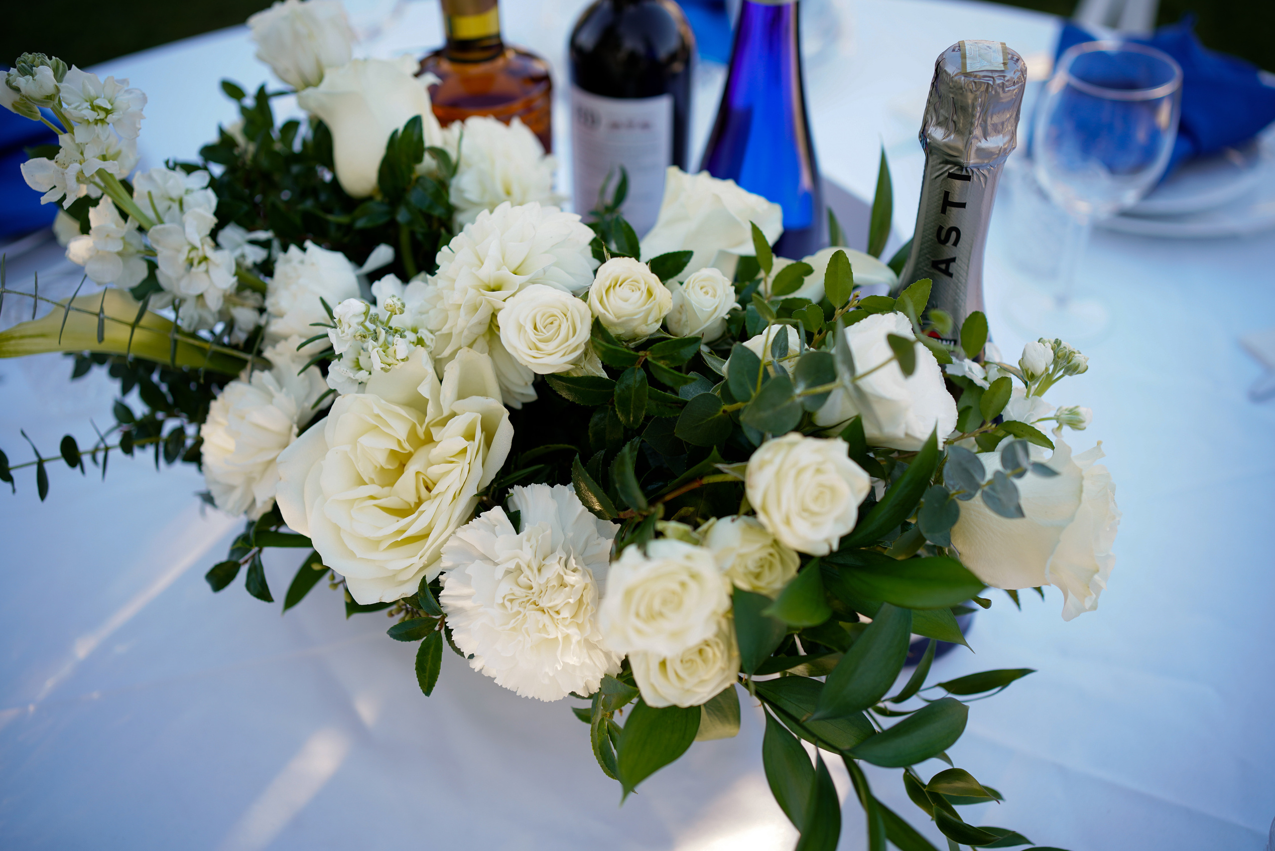 Ivan and Anasstasiya. Sacramento Photographer — Olga Maltseva based in California