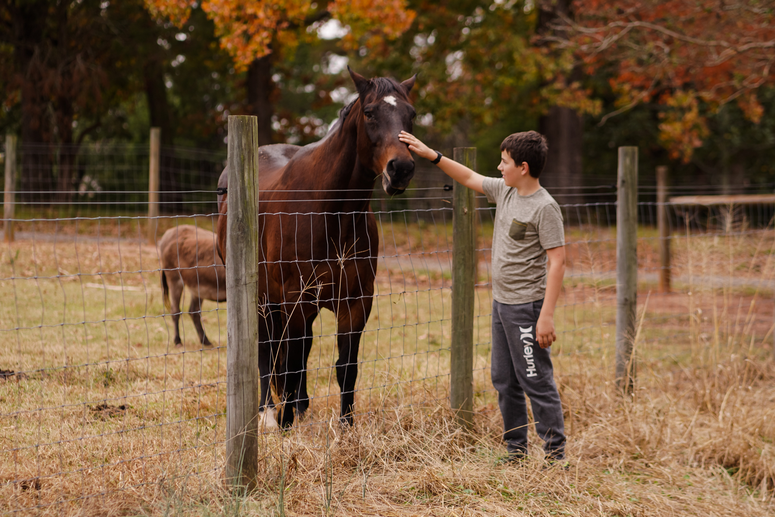 Chilhood. Sacramento Photographer — Olga Maltseva based in California