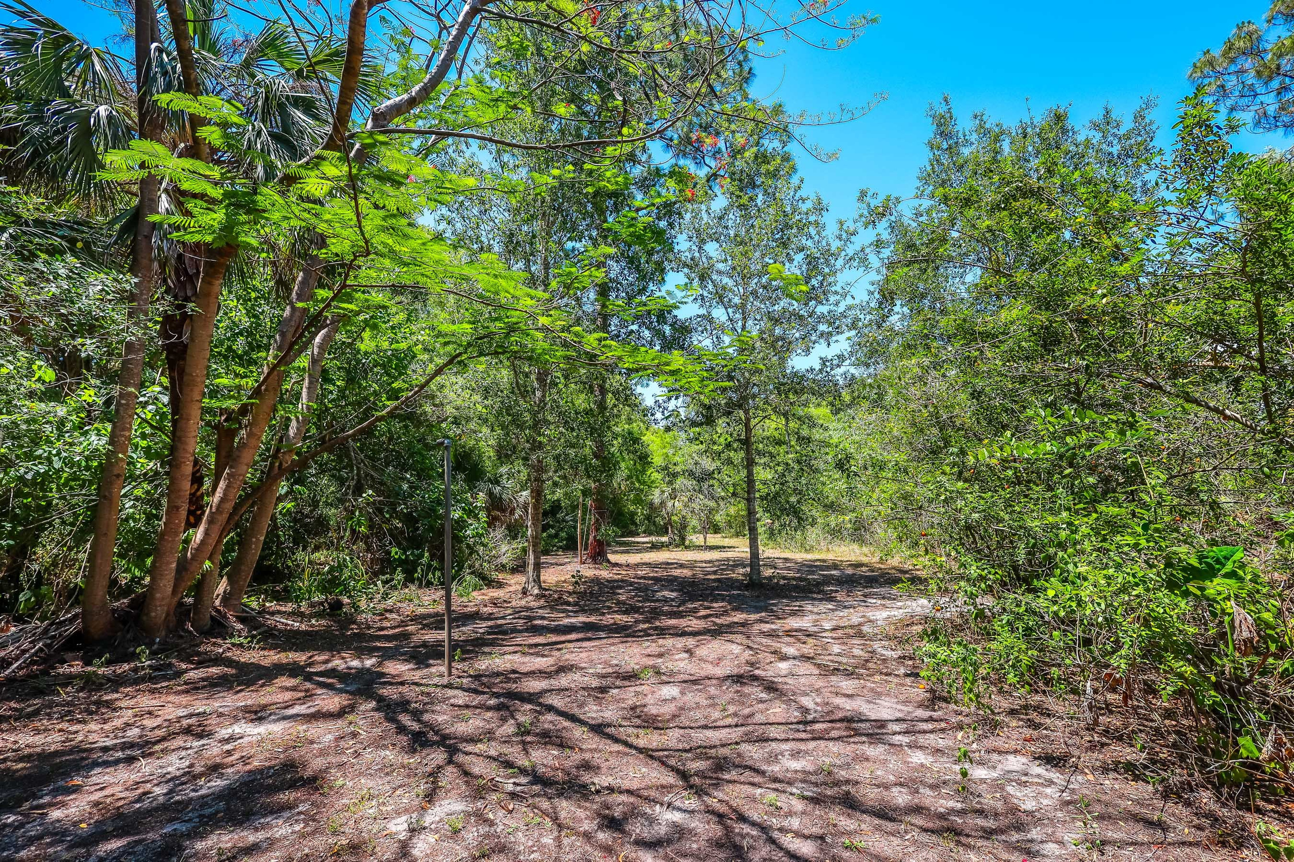 Sample D. Out and About 239