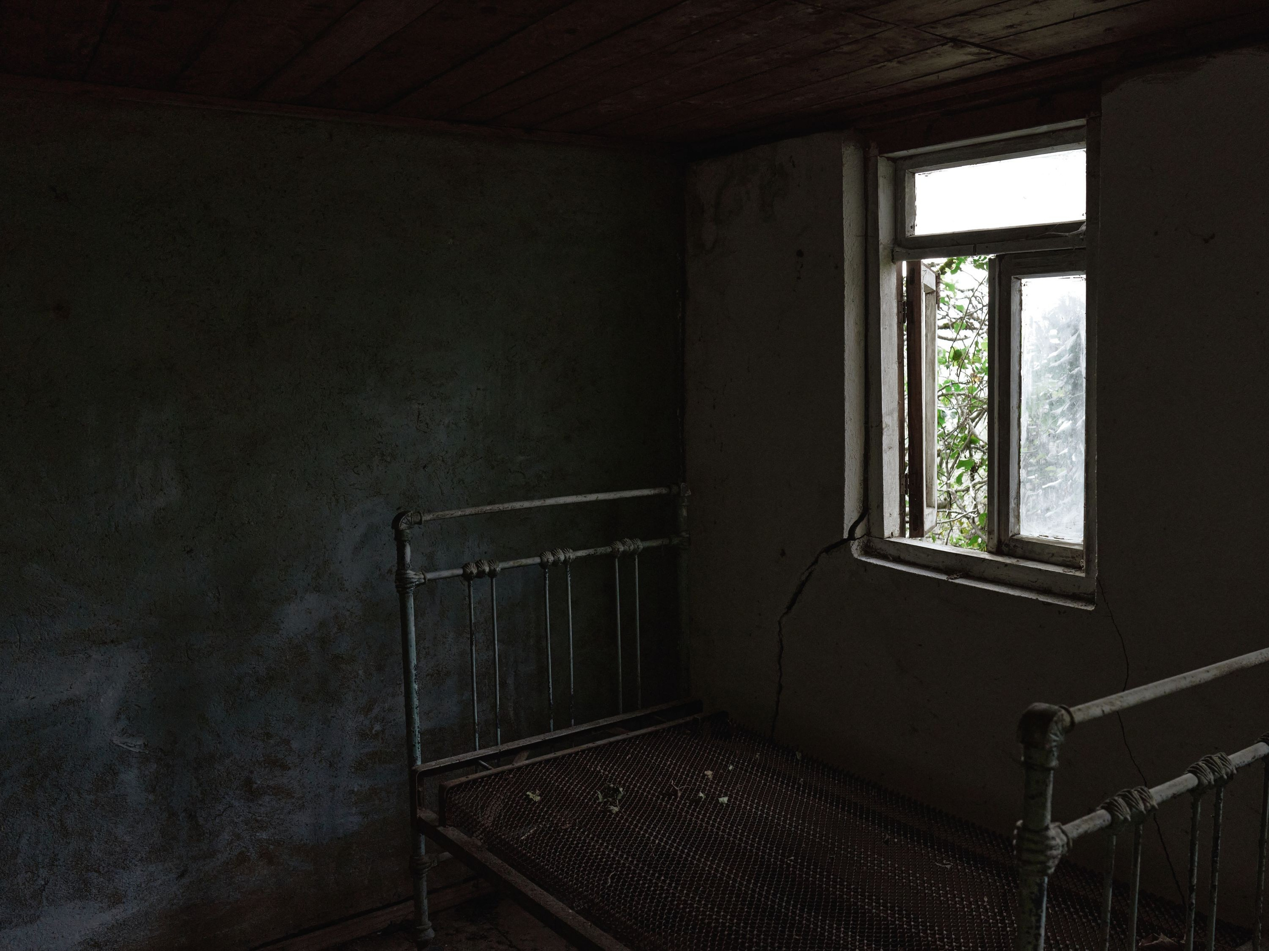 Scars of Shukruti. Egor Borie