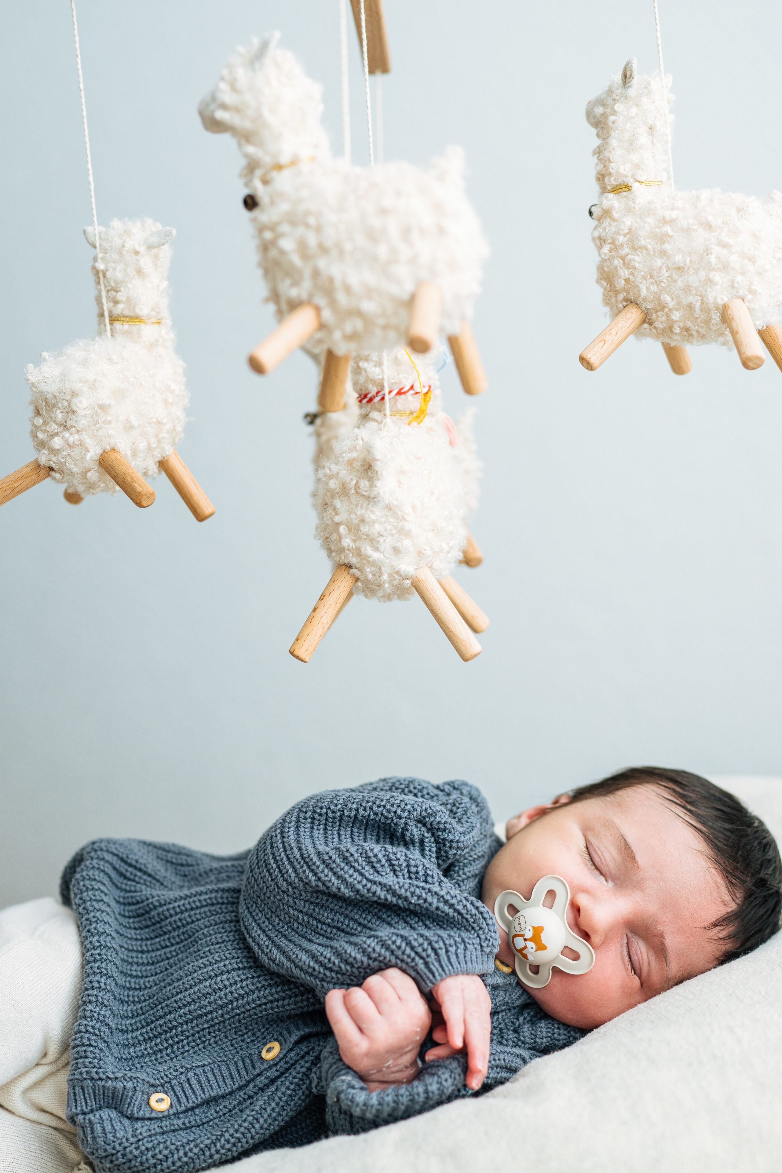 Newborn Studio. Katerina Sellitti - Newborn Fotografin aus Bern. Schweiz