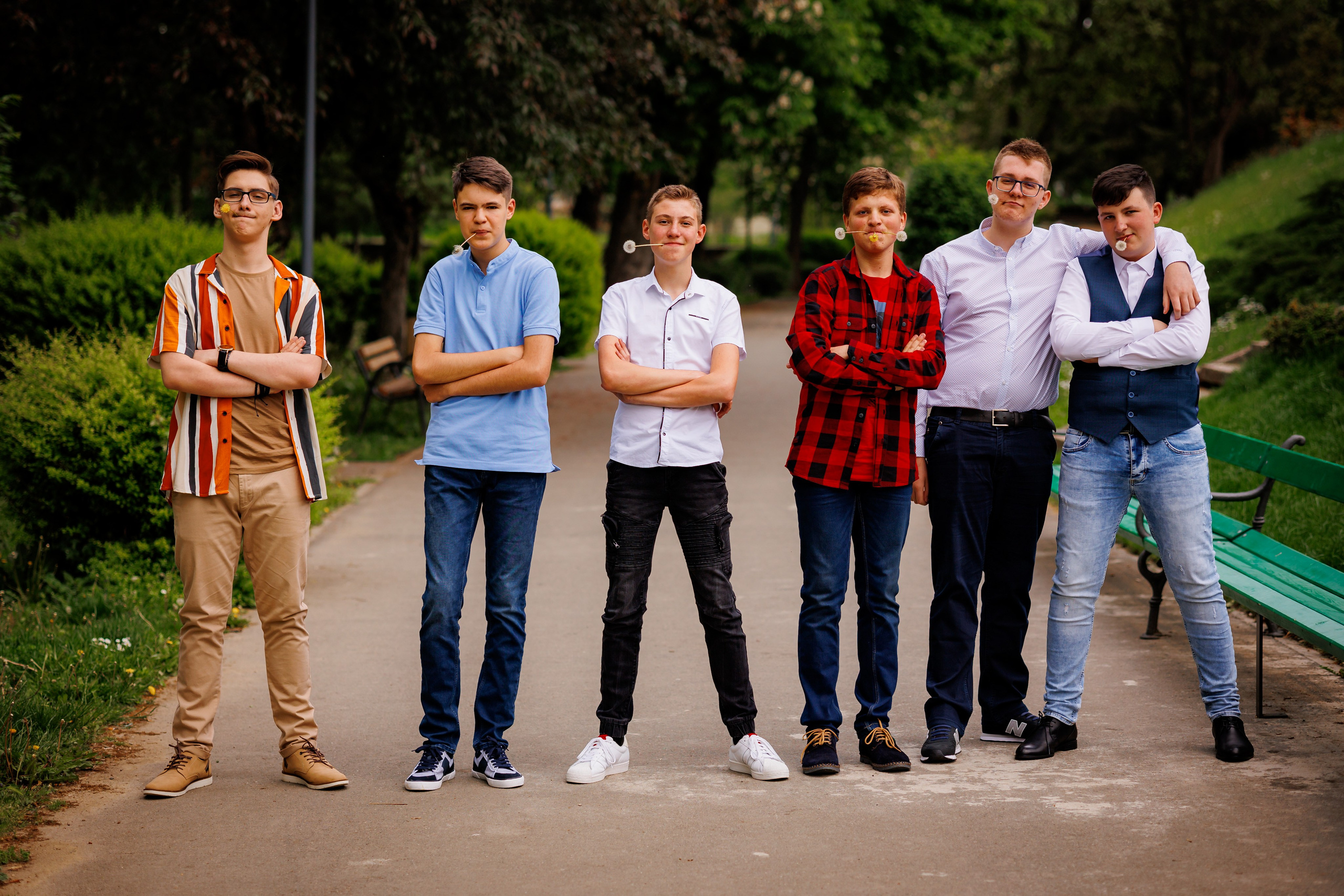 Distracție Gratuit. Trendy Albums