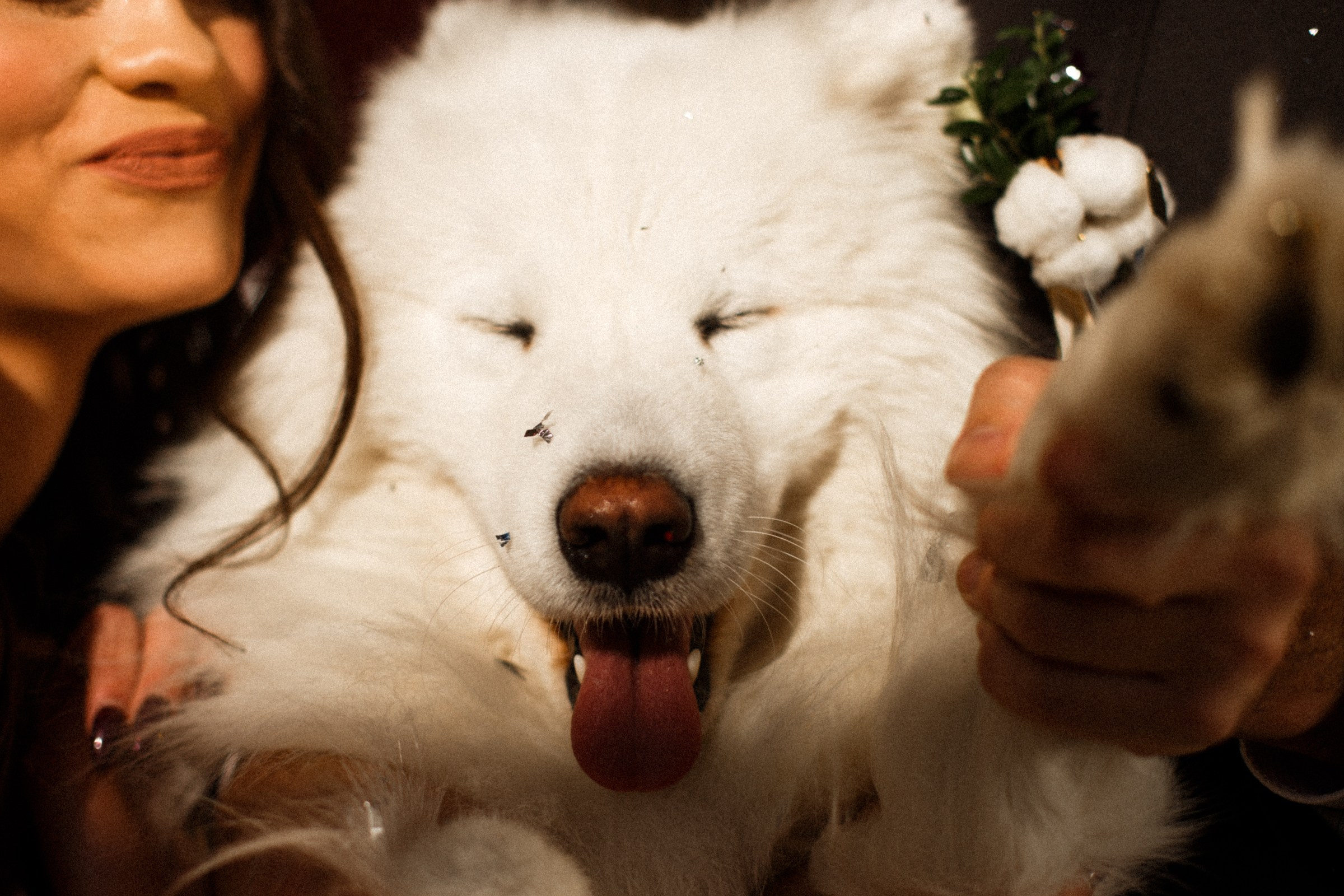 Kirill & Alex. Фотограф Бали Получи лучшие фотографии с острова