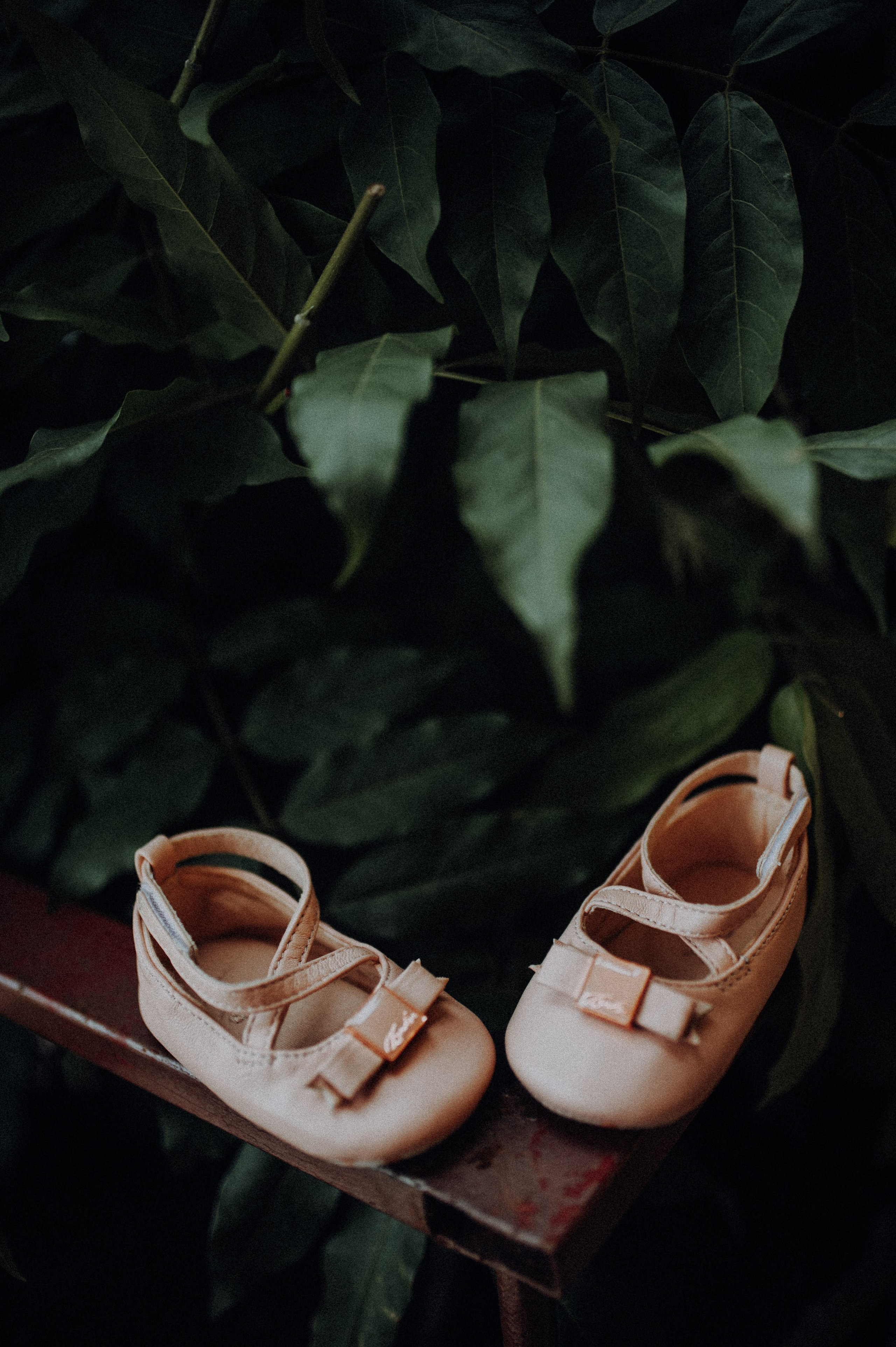 |Ambra|. Alex Vasilie | Fotograf de Nuntă, Botez și Portret | Cluj-Napoca