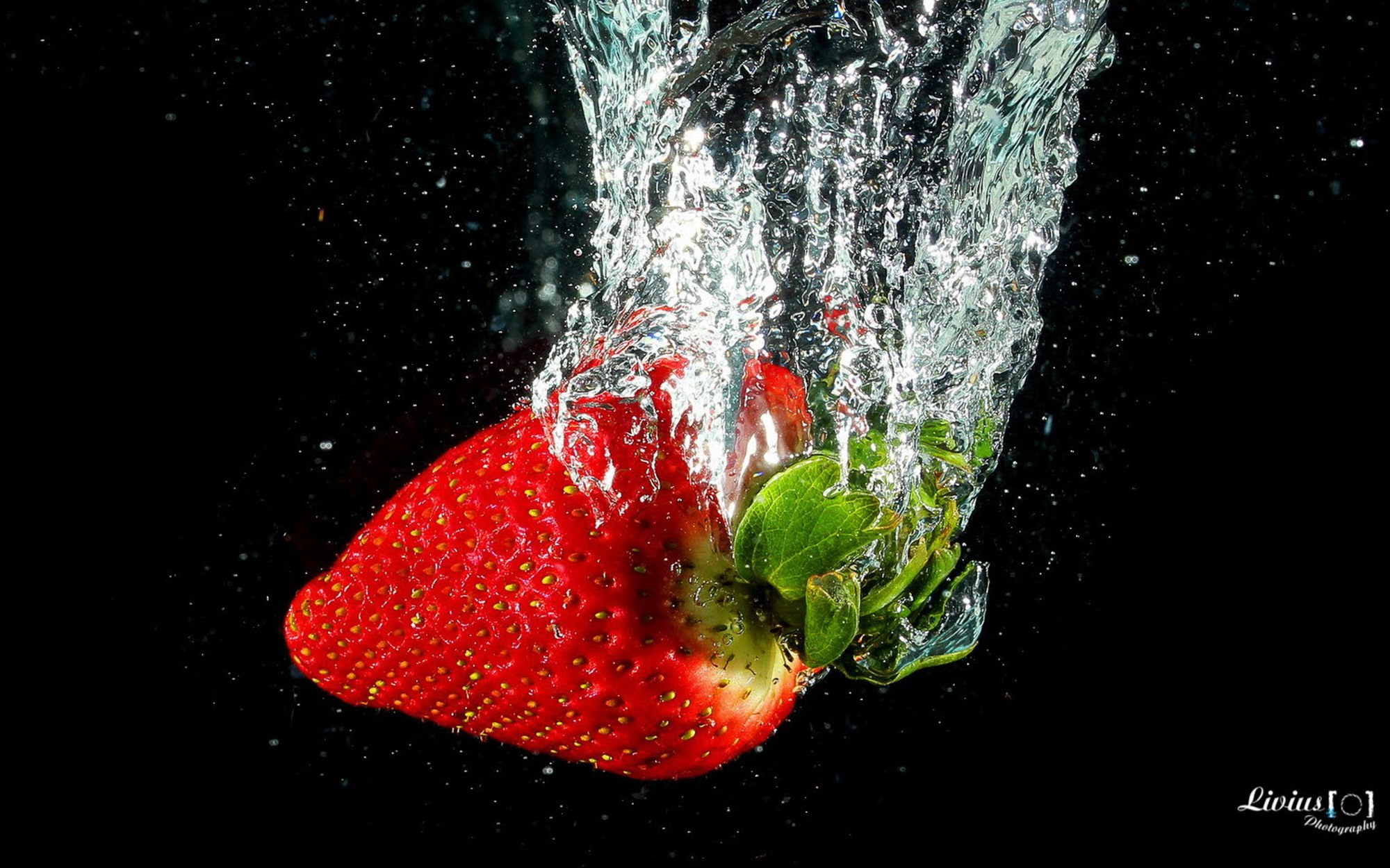 Hobby Bilder. FOTO KREATIV
