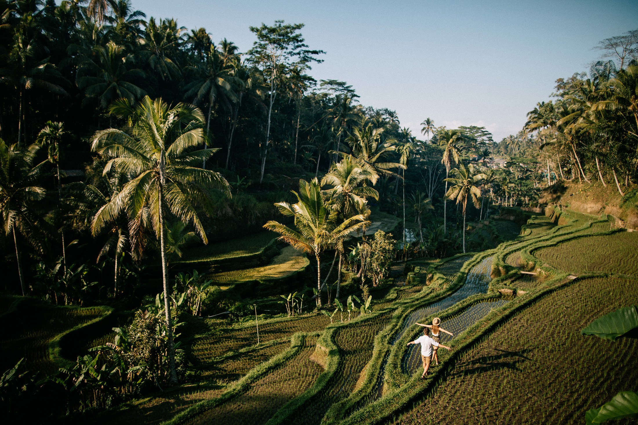 Rice terraces + waterfall. Getitfeel — Aesthetic Photography and Videography
