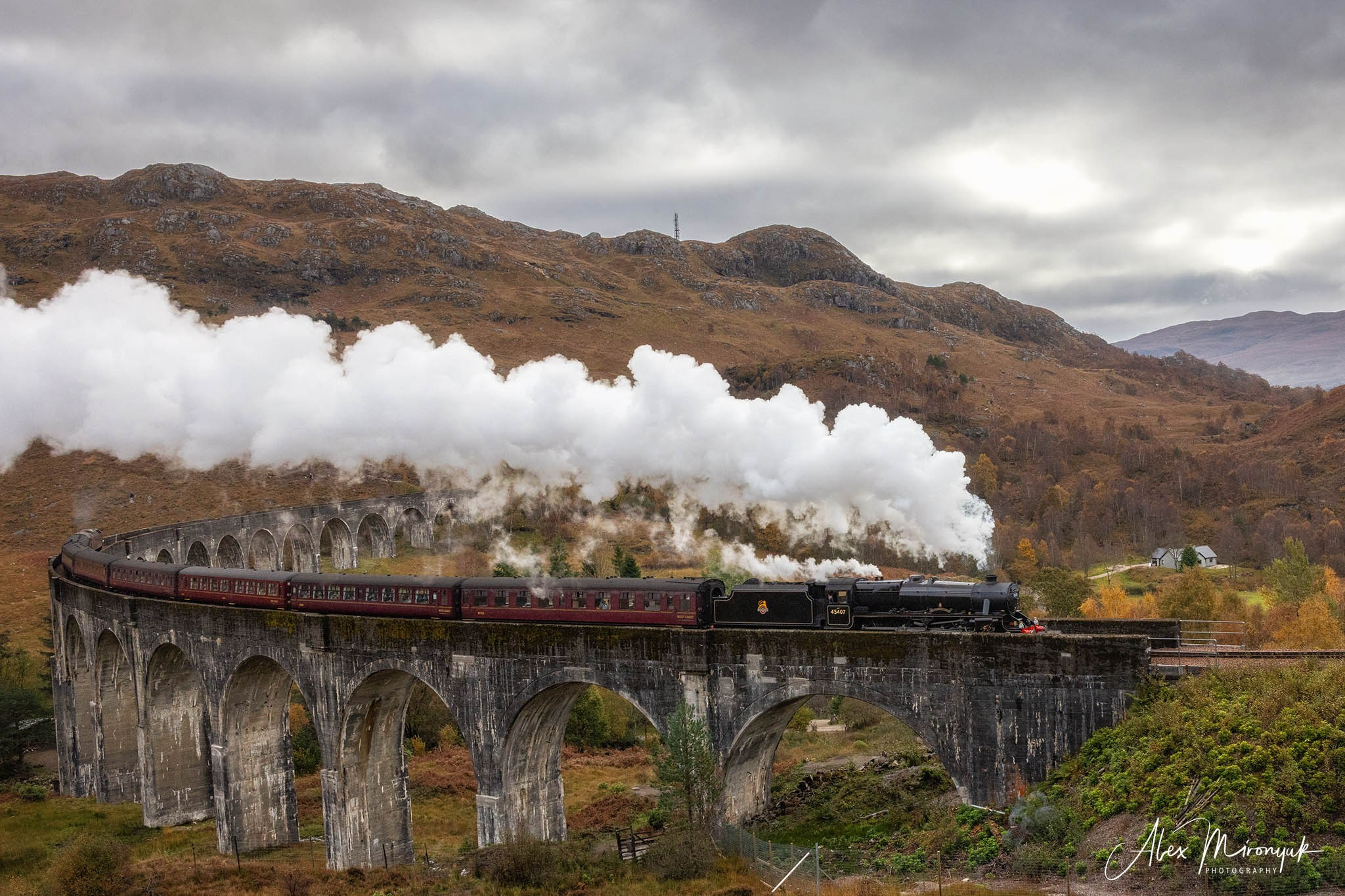 Scotland’s Highlands. Pet, Senior, Landscape, portrait studio, photographer in Miami and Sou