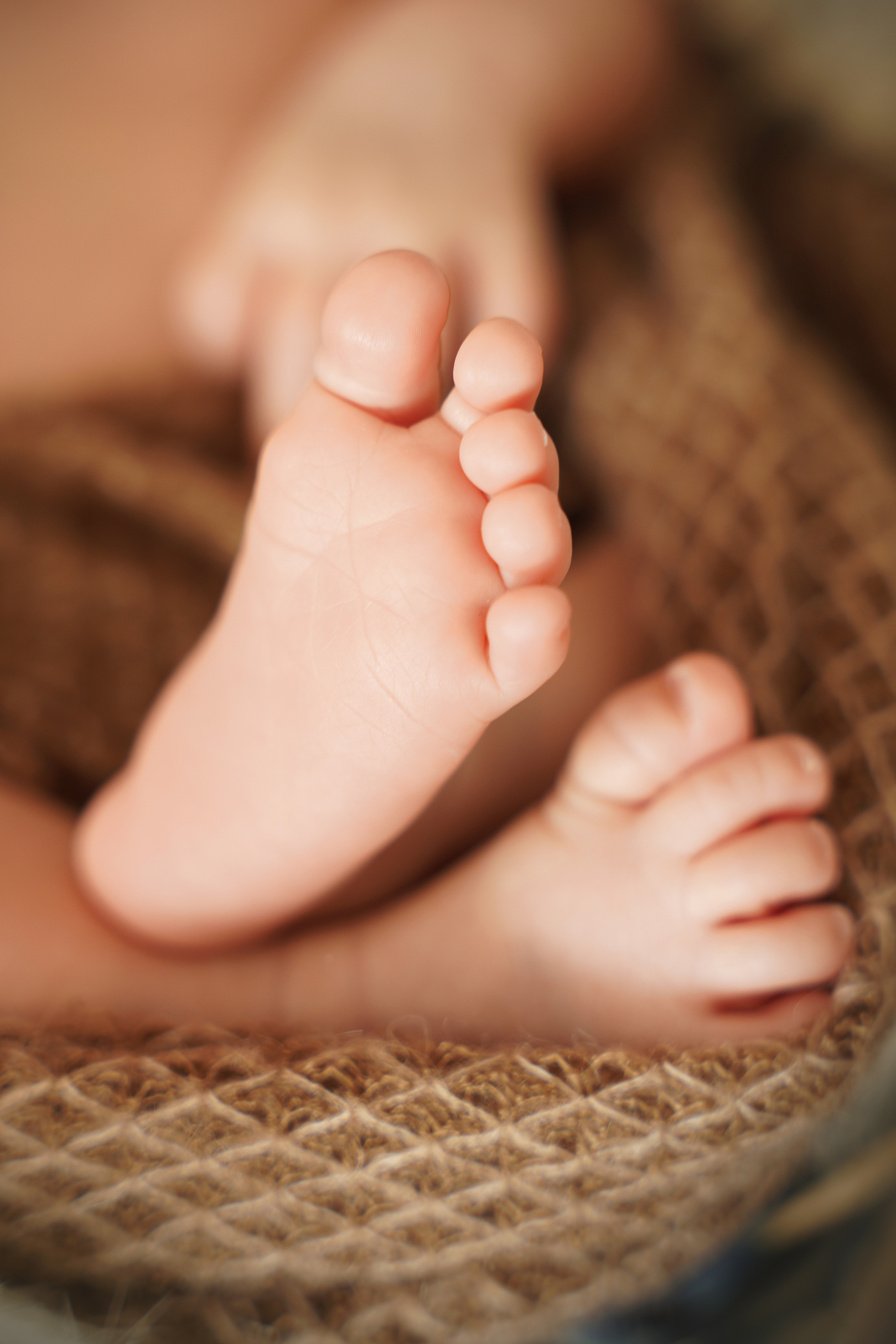 auf dem Foto ragen die Füße des Neugeborenen aus dem Korb