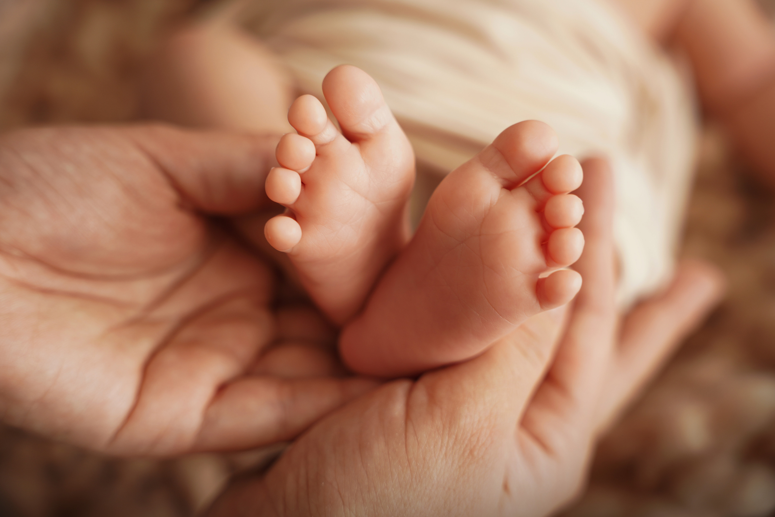 Papas Hände halten die Füße ihres neugeborenen Sohnes
