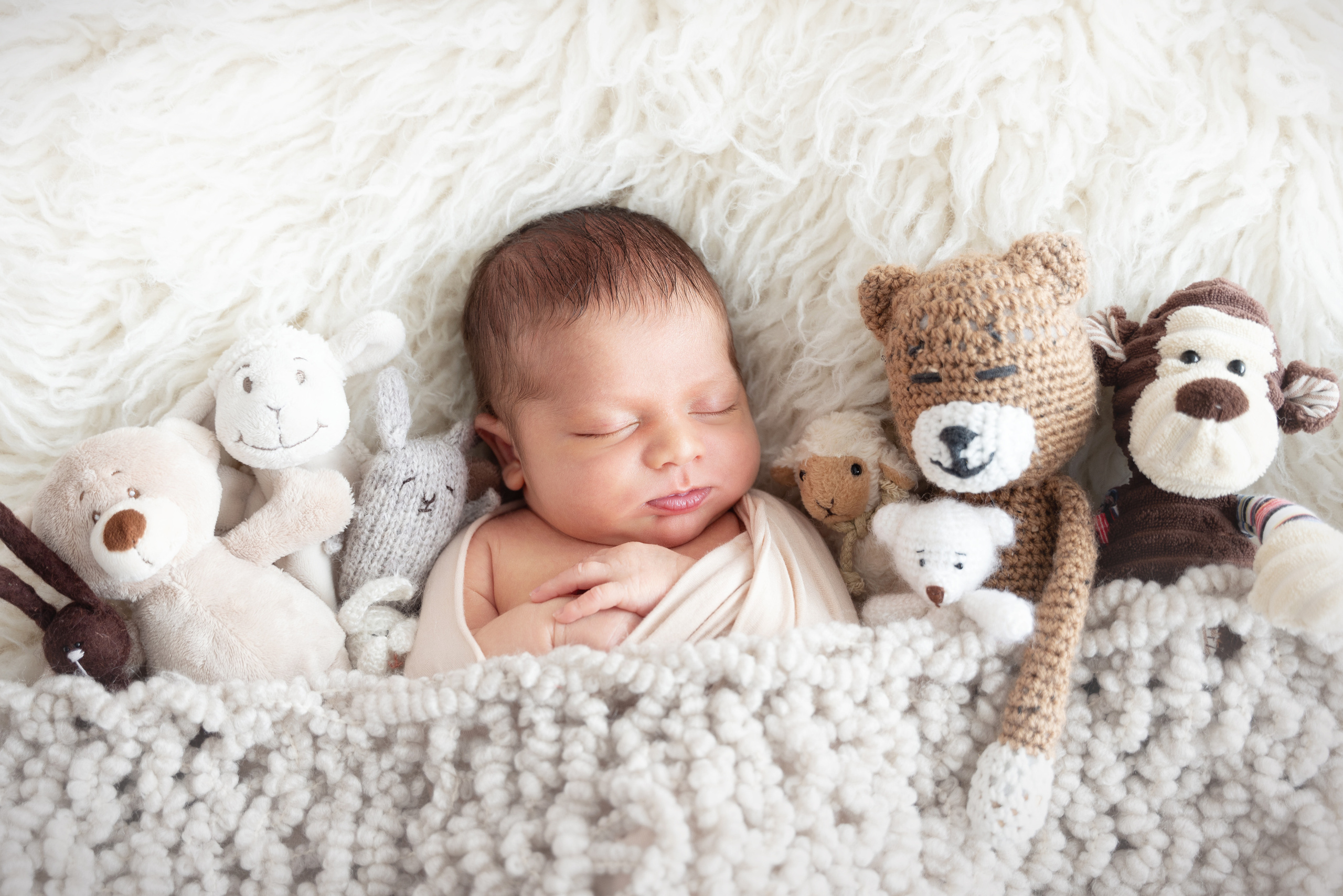 Auf dem Foto schläft bequem der Junge umgeben von Kuscheltieren 