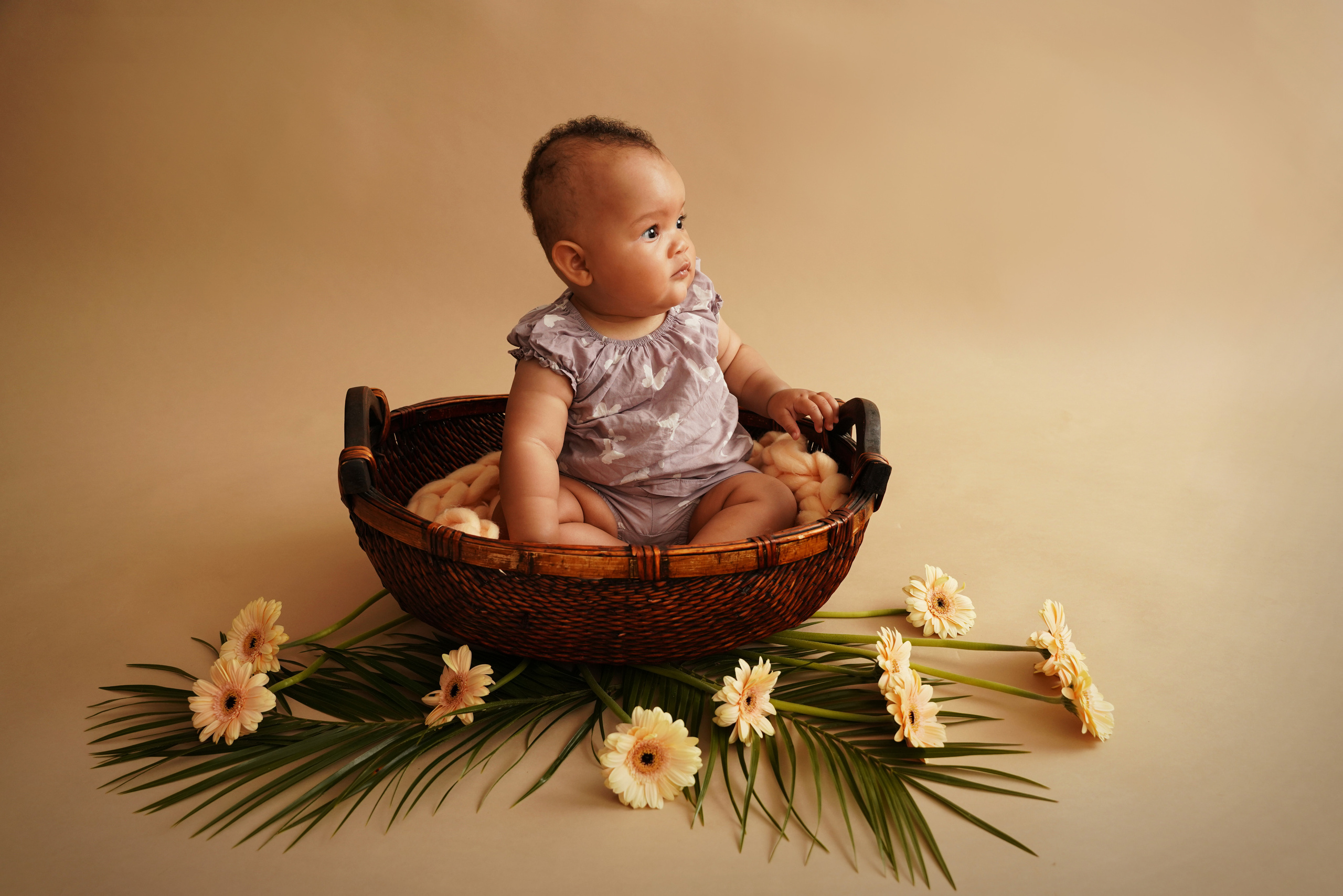 Gerbera und kleines Mädchen im Fotostudio