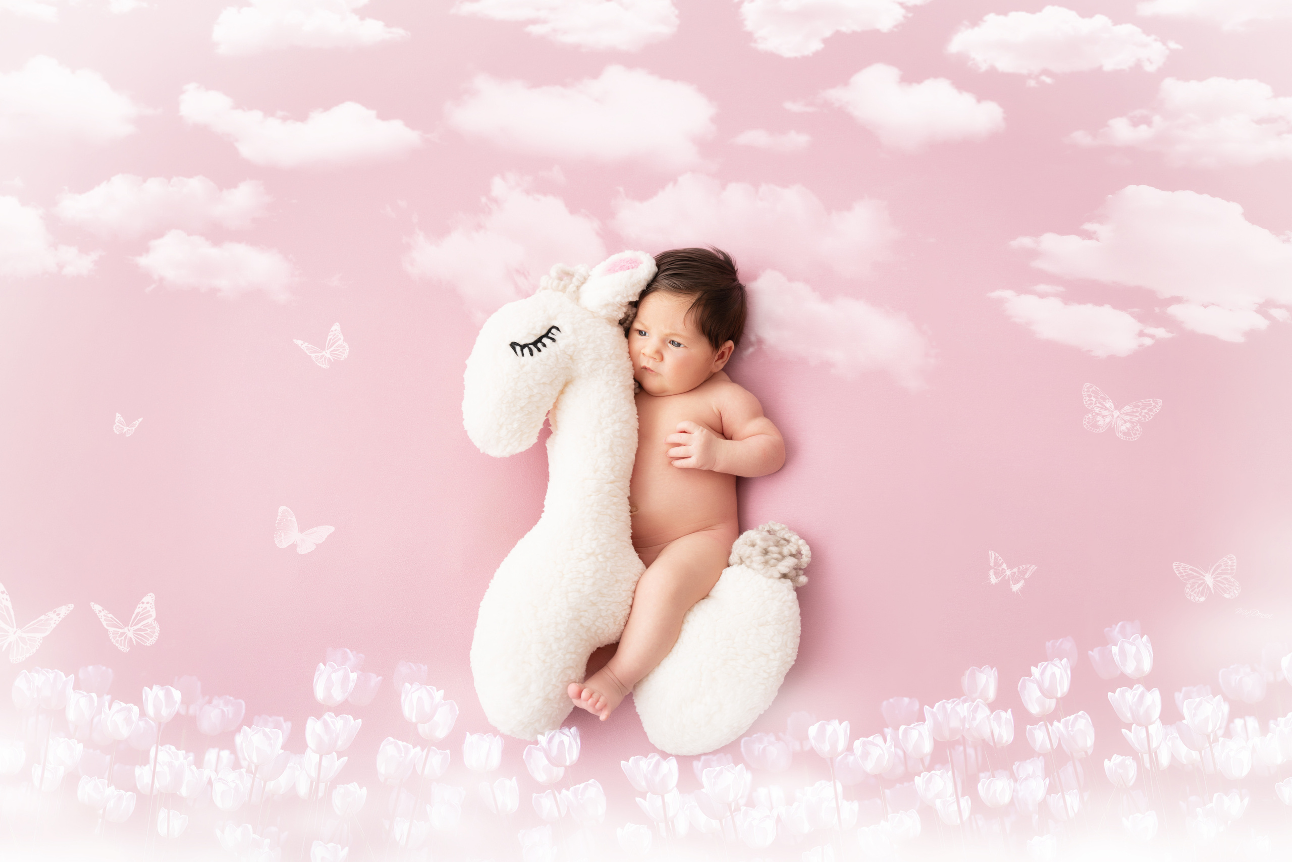 Babyfotograf in Ausburg  finden 