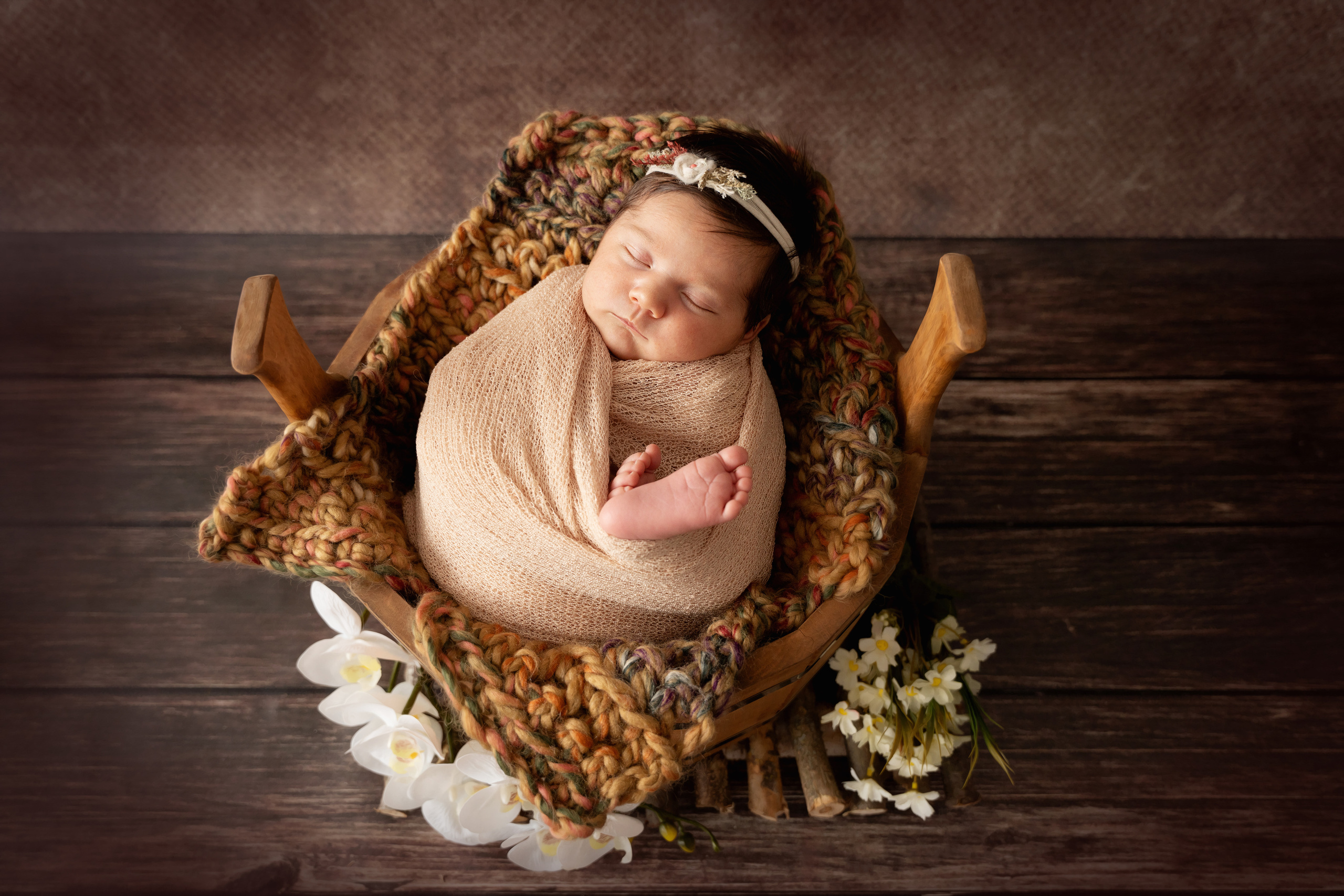 professionelle fotografie und  neugeborene bilder