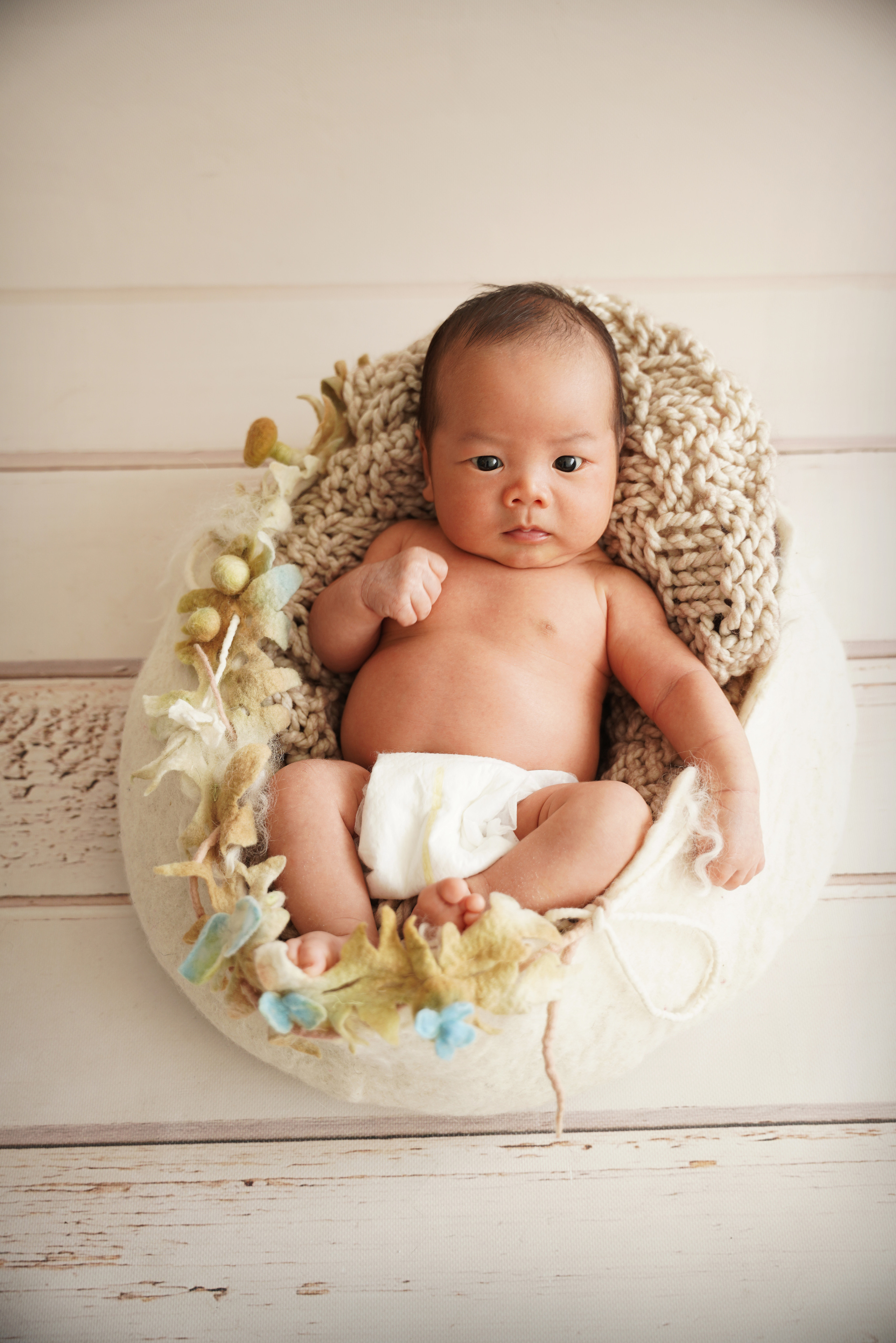 bei dem Babyshooting liegt gemütlich der Junge im Nest