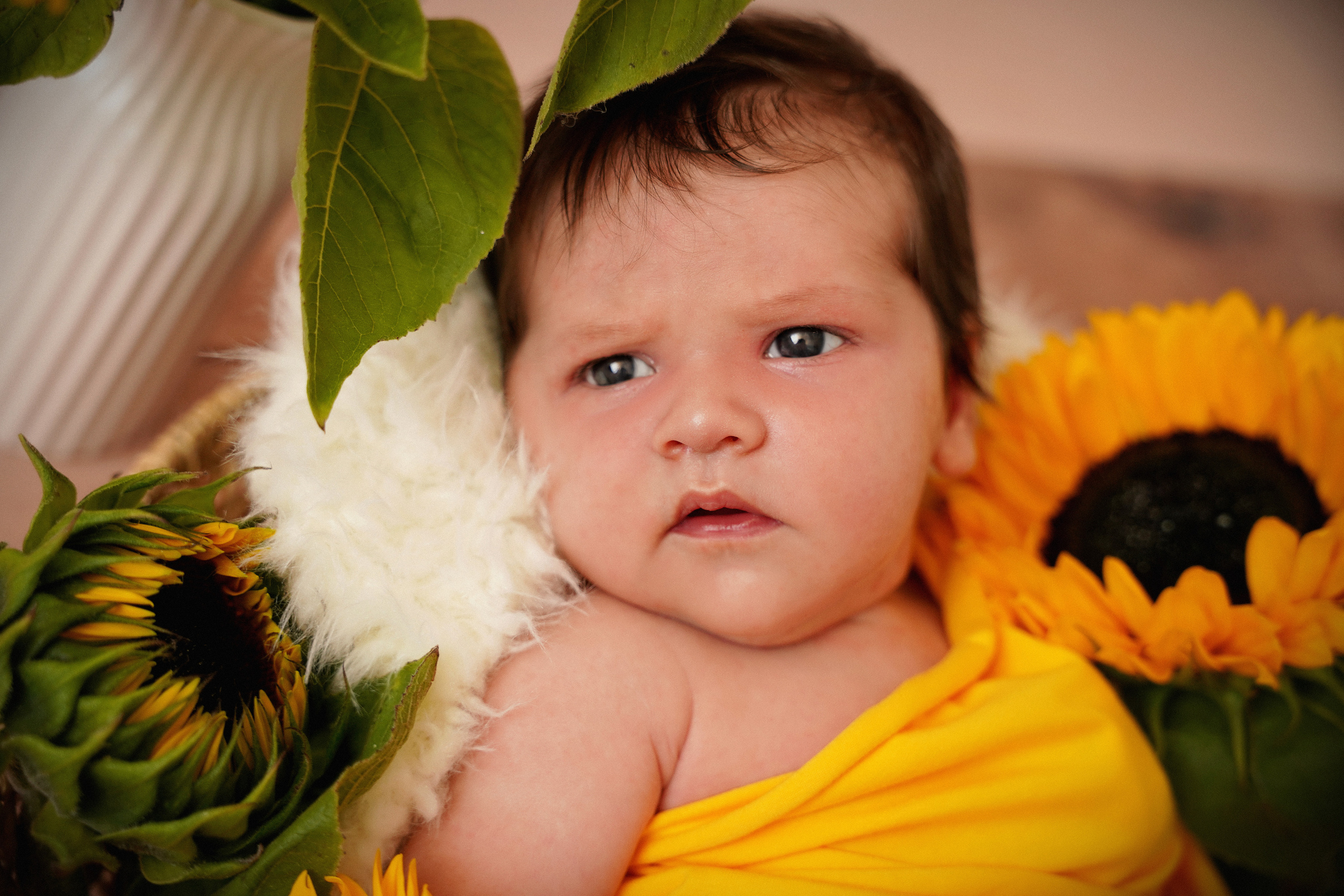 Gesicht eines neugeborenen Mädchens nahaufnahme mit Sonnenblume