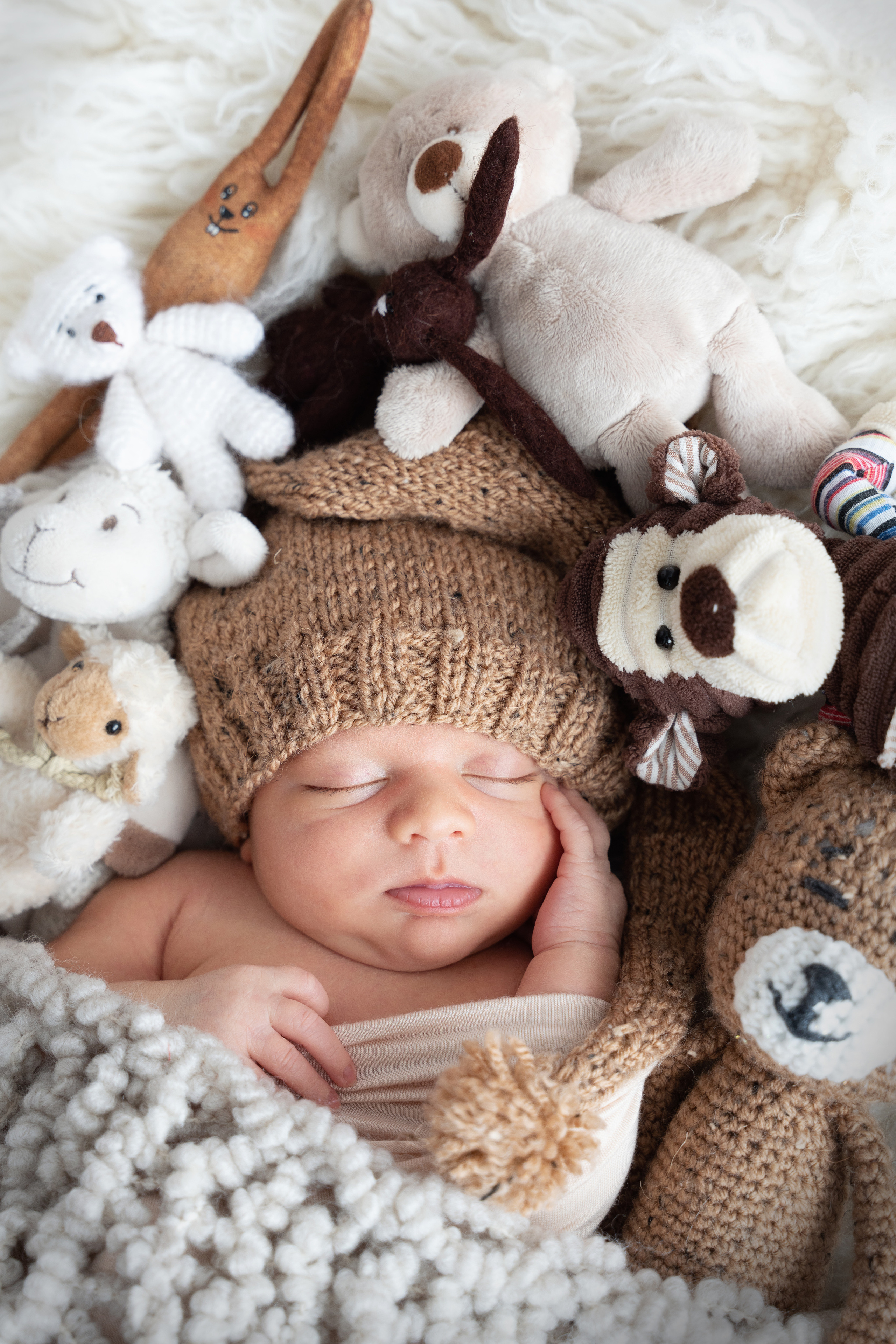 Baby schläft mit Kuschelntieren