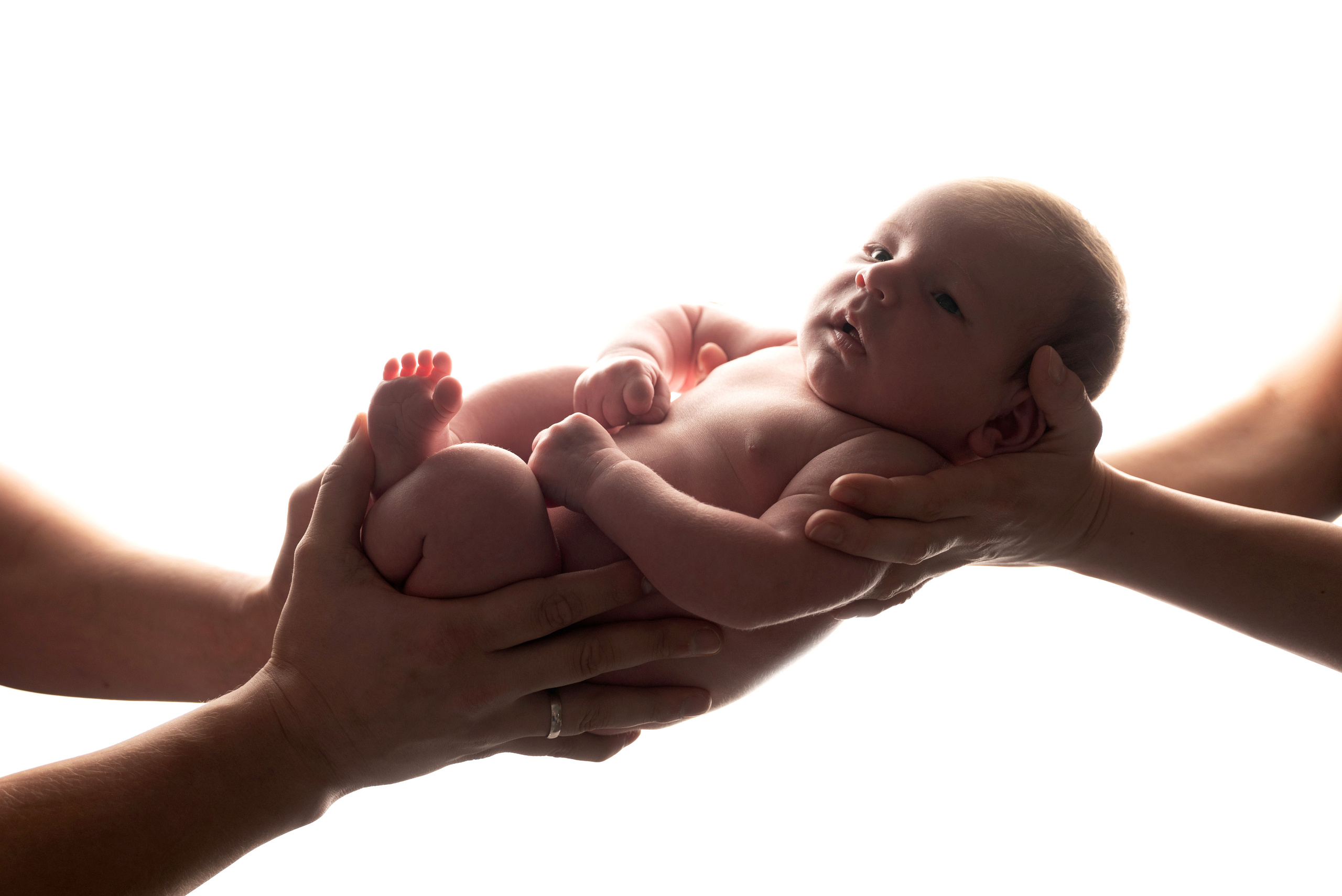Baby in den Armen der Eltern im Photostudio
