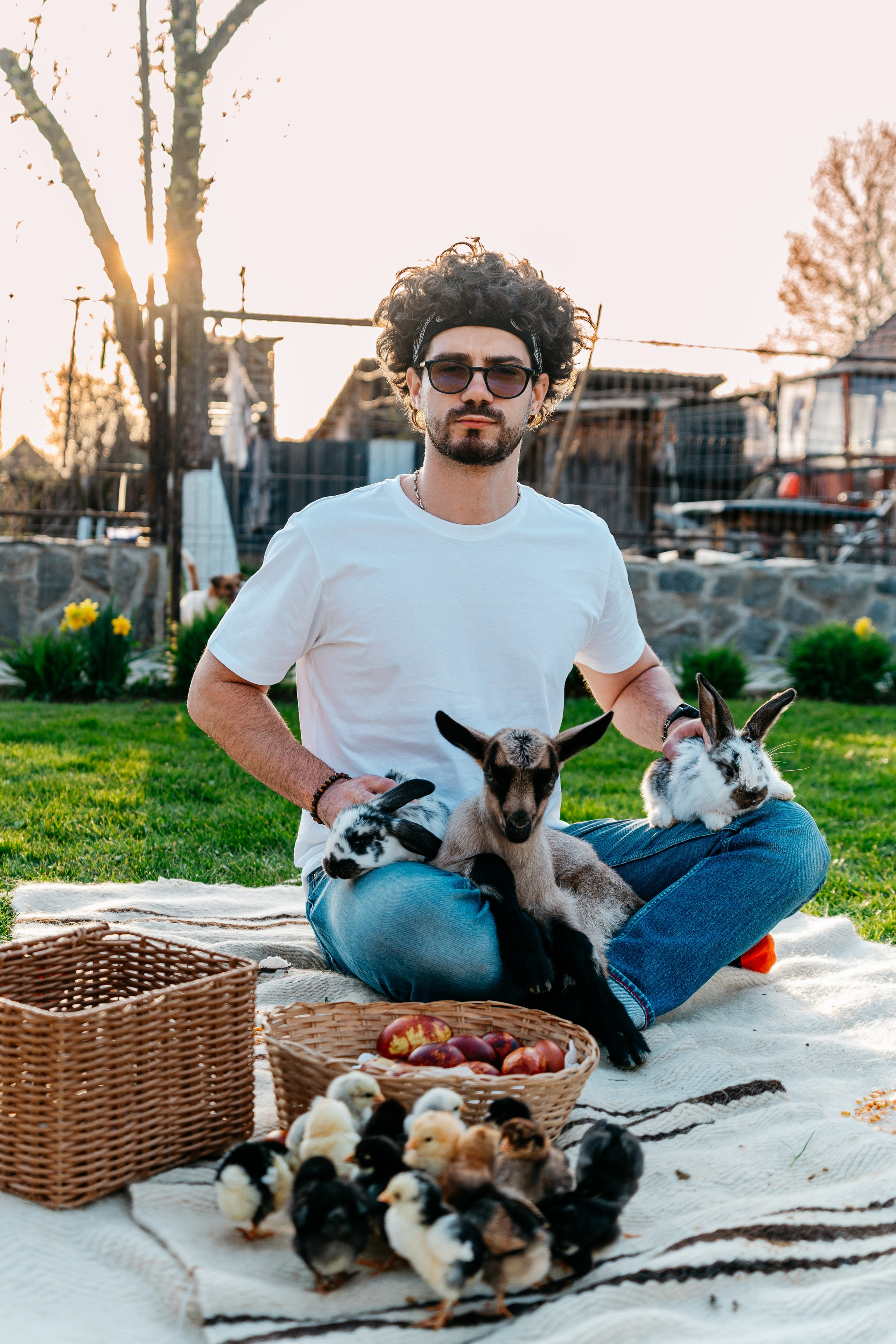 EASTER. Ars Vidi | Digital Solutions