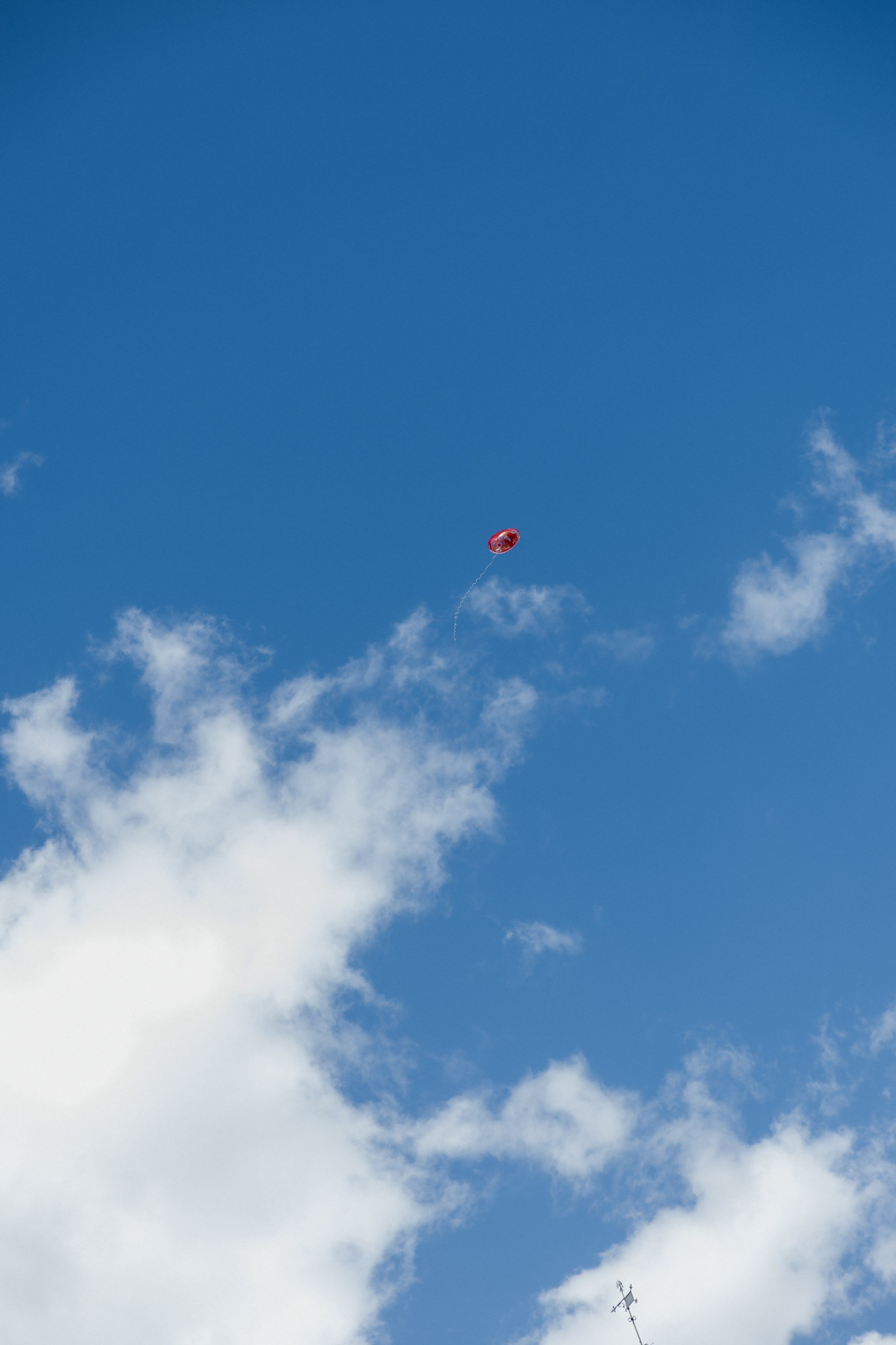 Vera & Julian. Familien & Hochzeitfotografin Nadja Holzmann